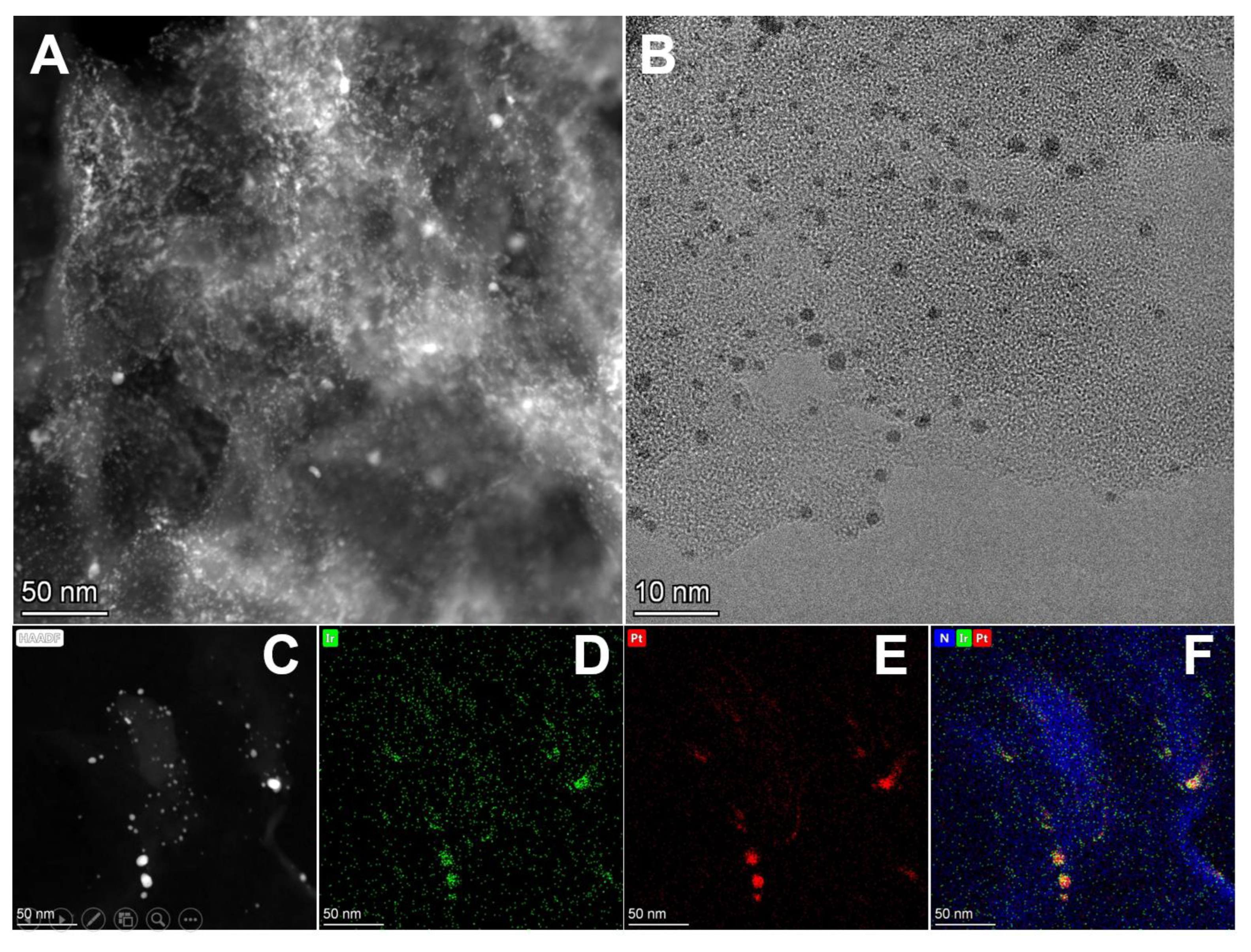 Catalysts 14 00225 g004