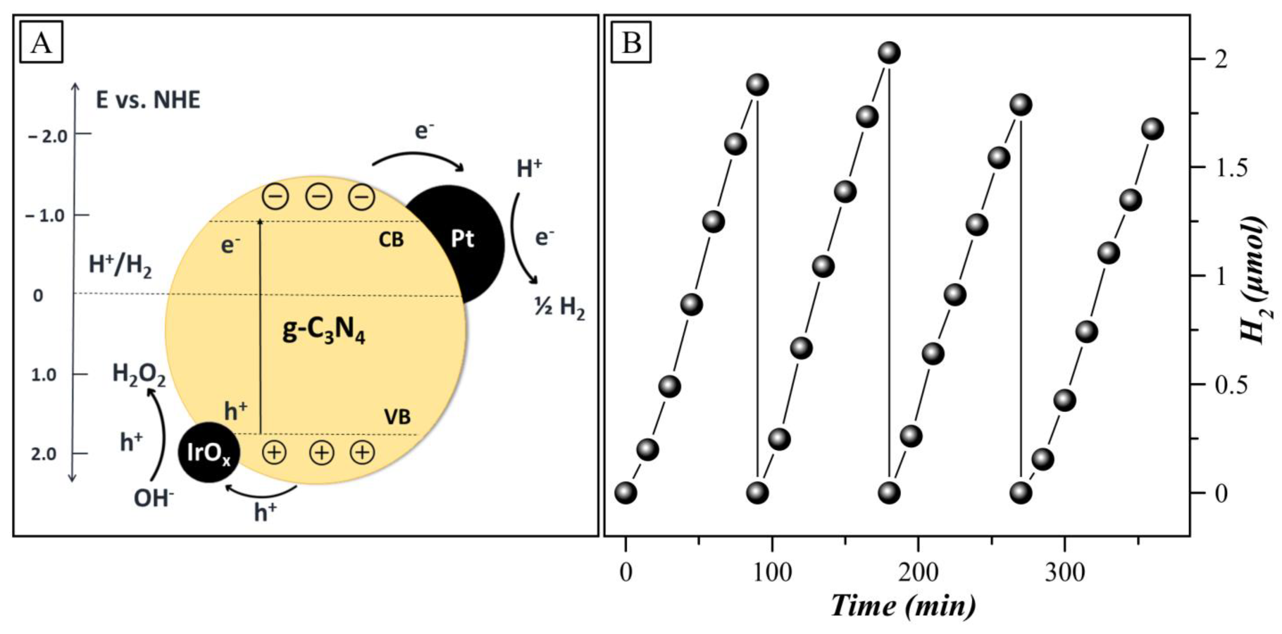 Catalysts 14 00225 g006