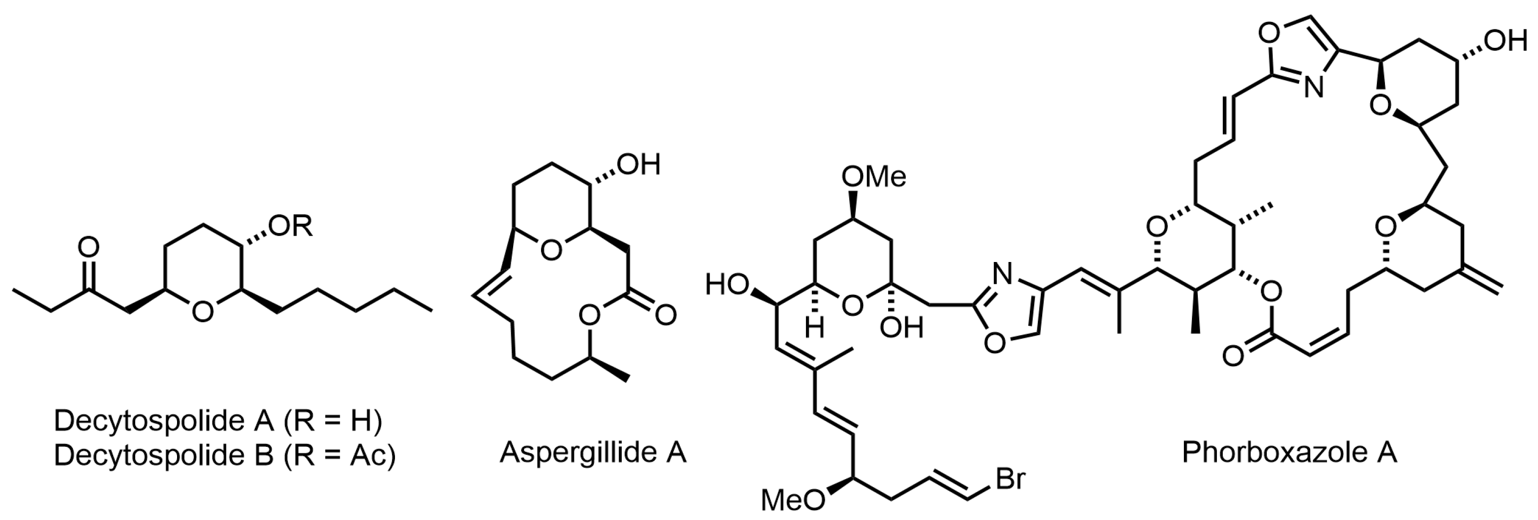 Catalysts 14 00228 g001