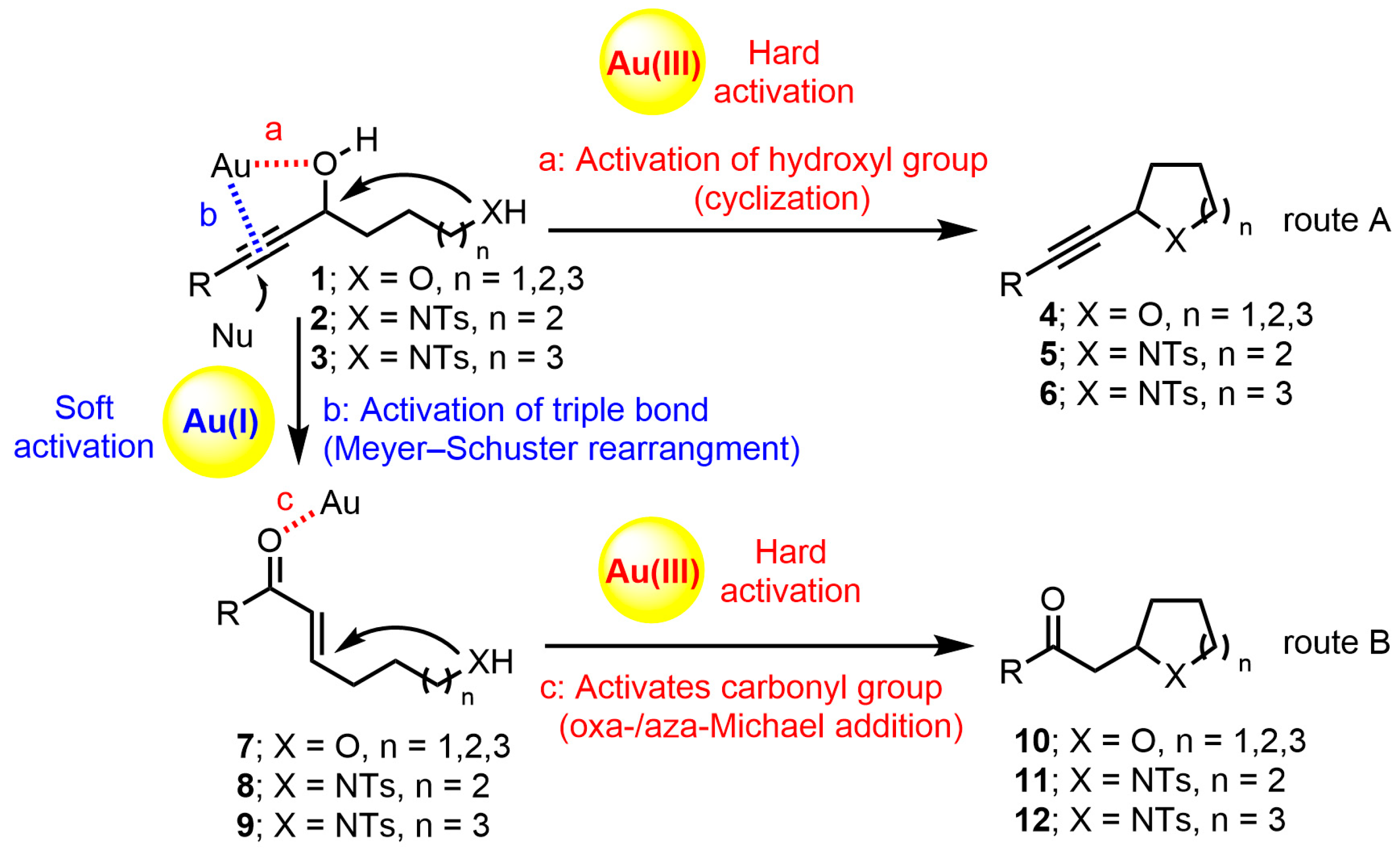 Catalysts 14 00228 sch001