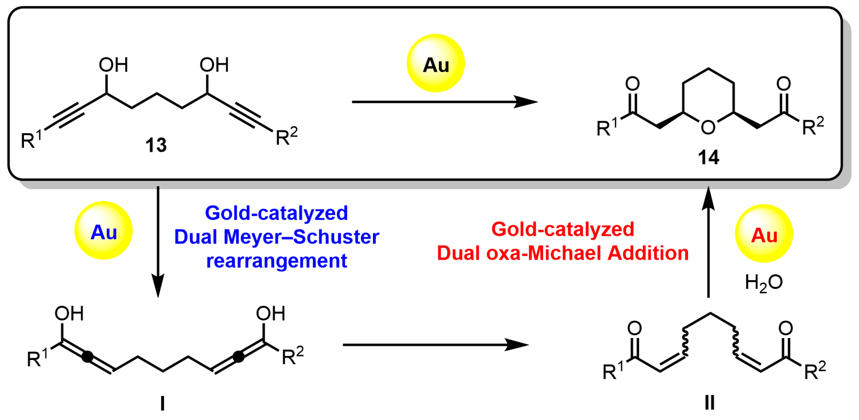 Catalysts 14 00228 sch002