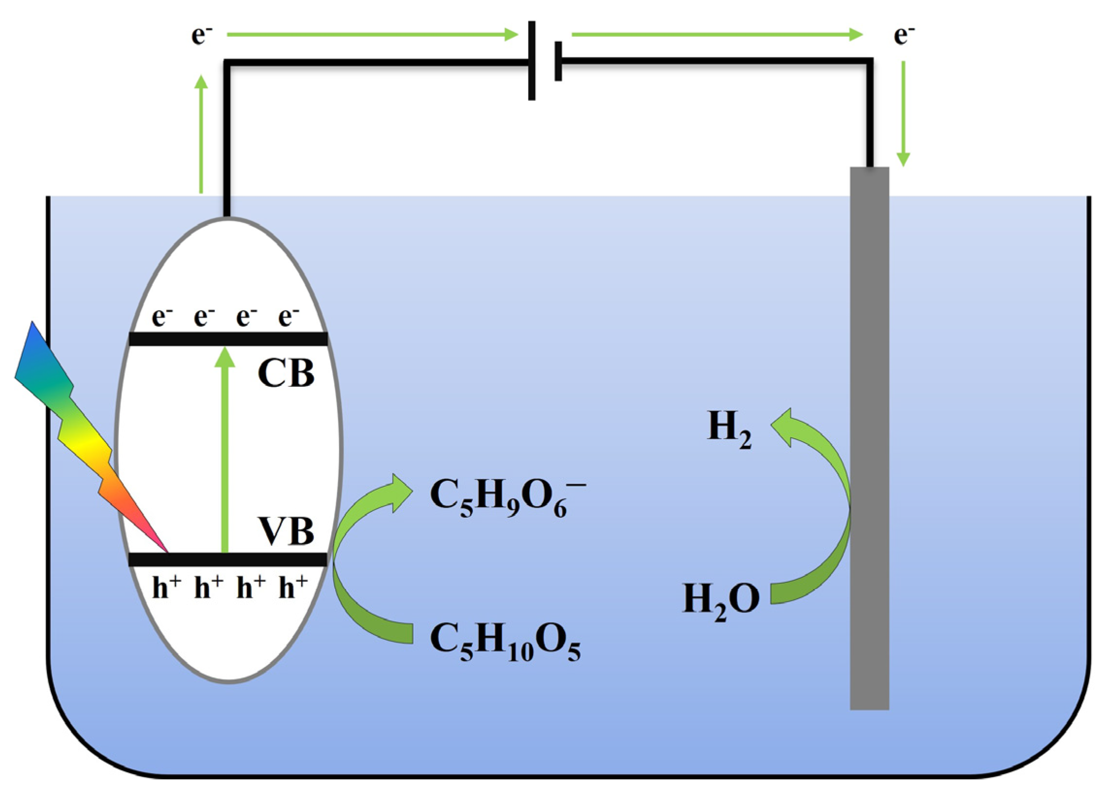 Catalysts 14 00230 g007