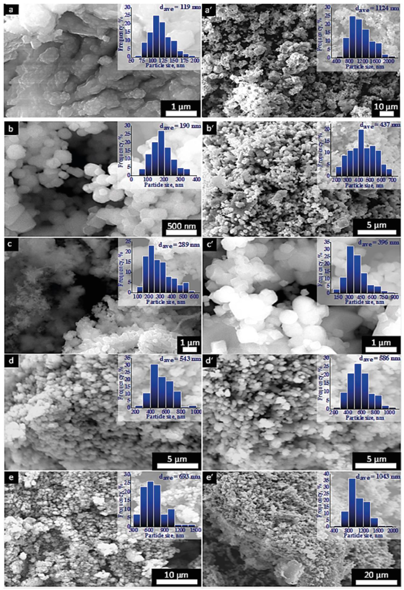 Catalysts 14 00231 g002