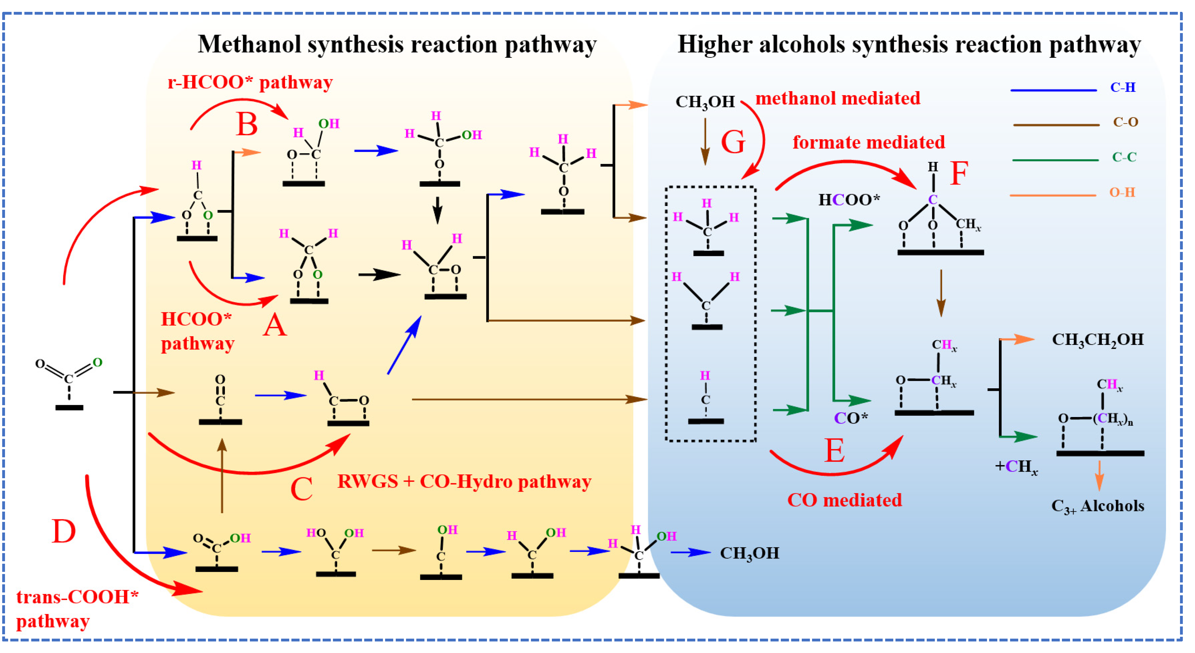 Catalysts 14 00232 g001