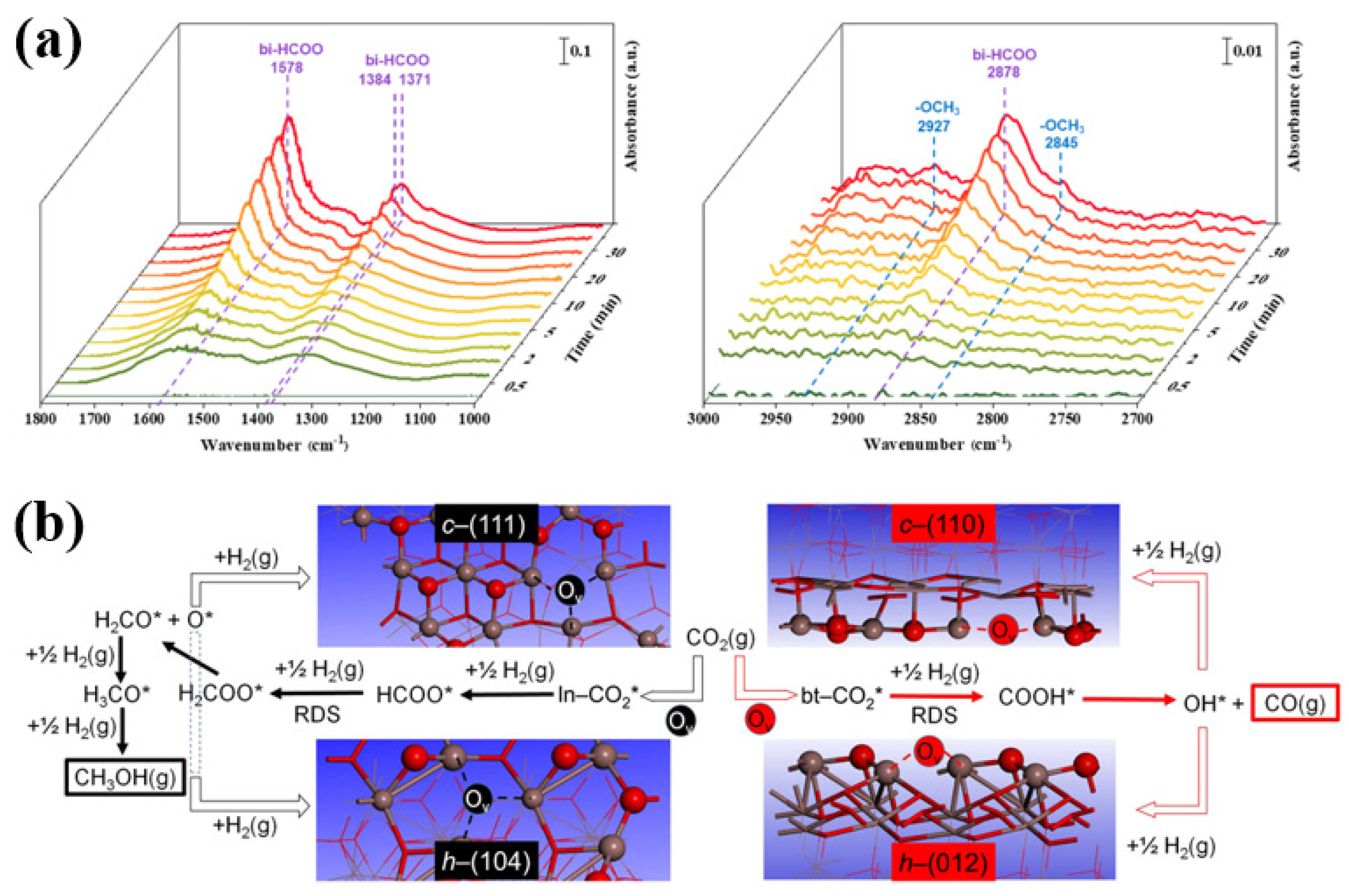 Catalysts 14 00232 g002