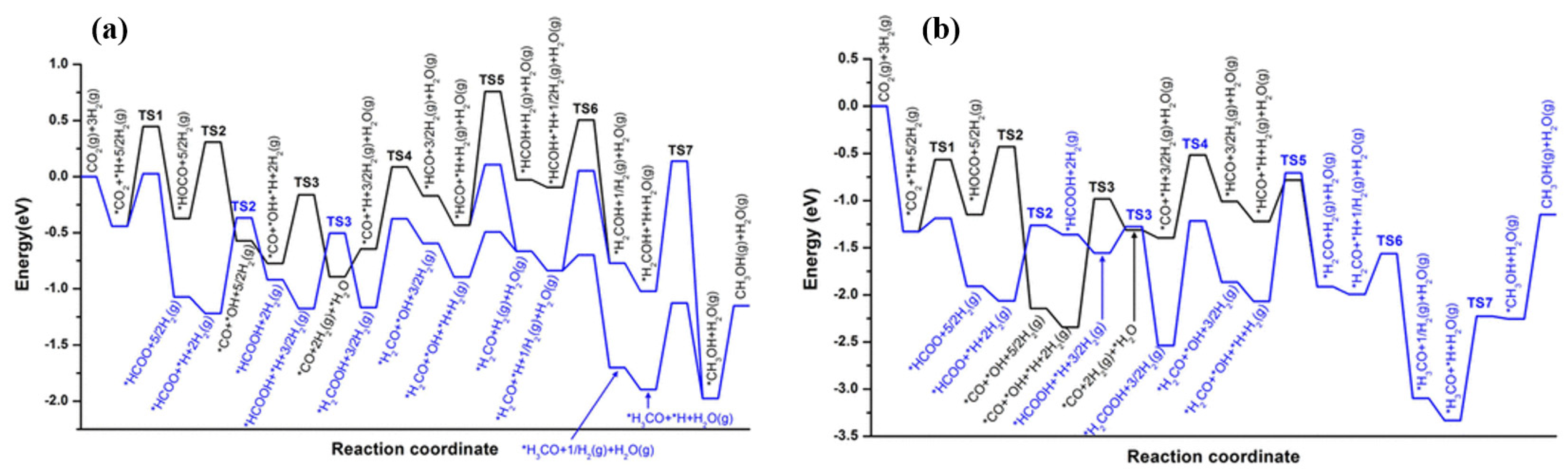 Catalysts 14 00232 g004