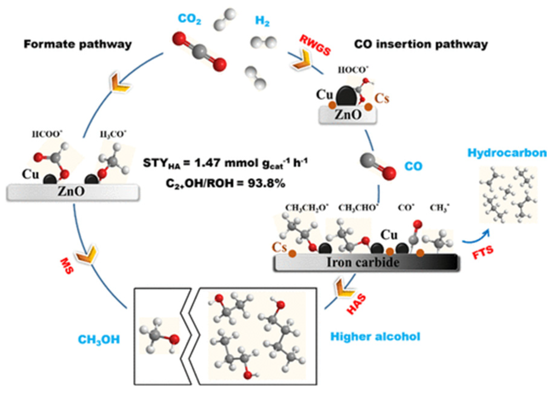 Catalysts 14 00232 g005