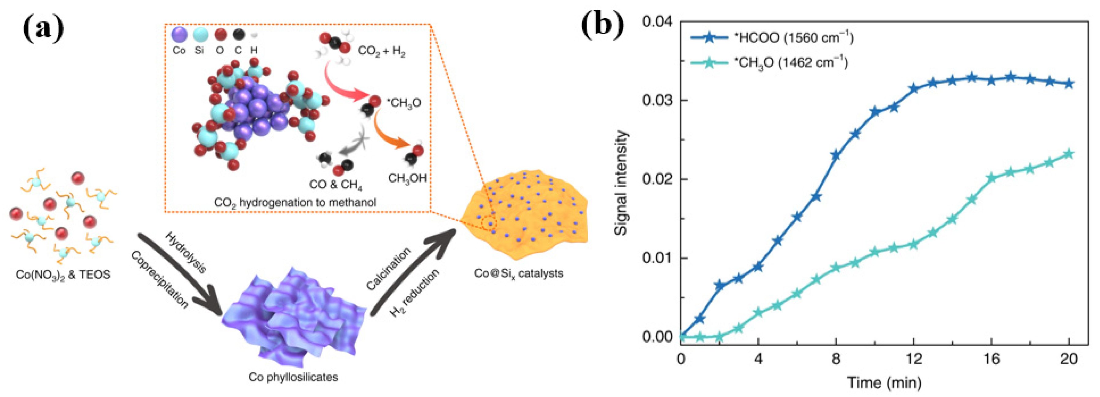 Catalysts 14 00232 g010