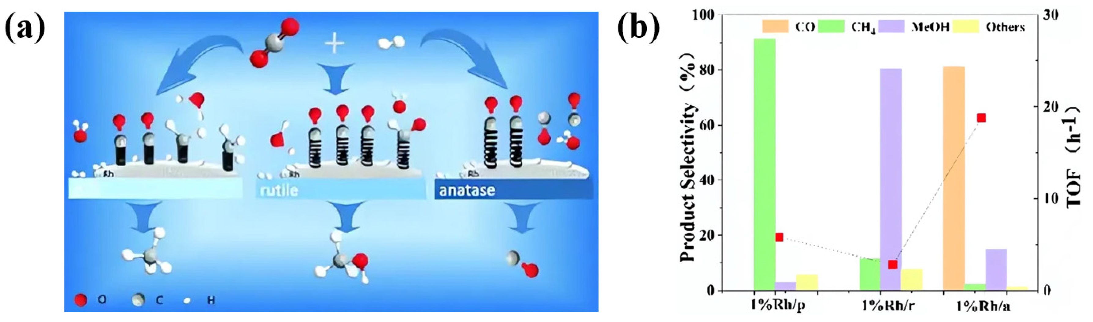 Catalysts 14 00232 g014