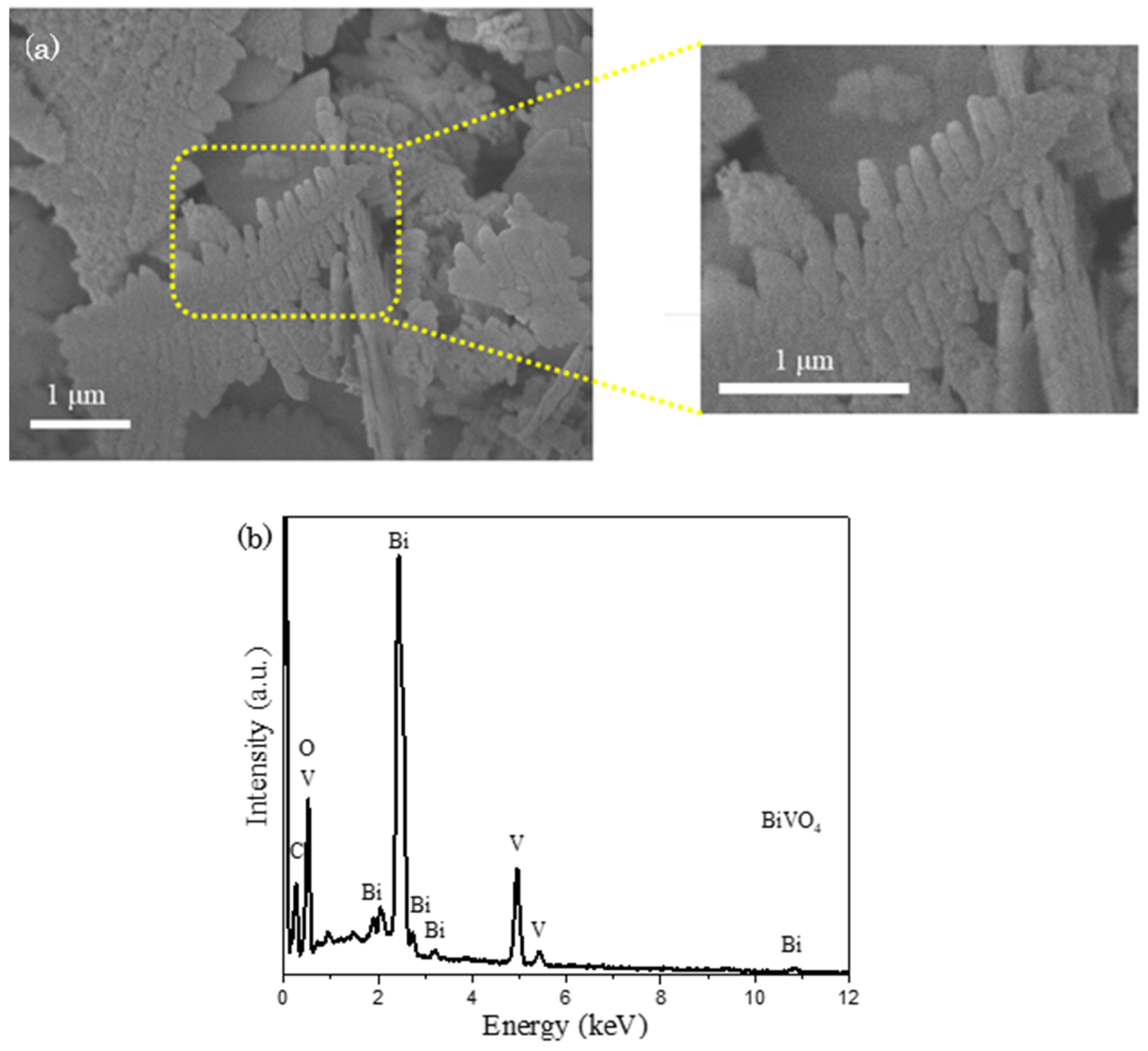 Catalysts 14 00236 g002