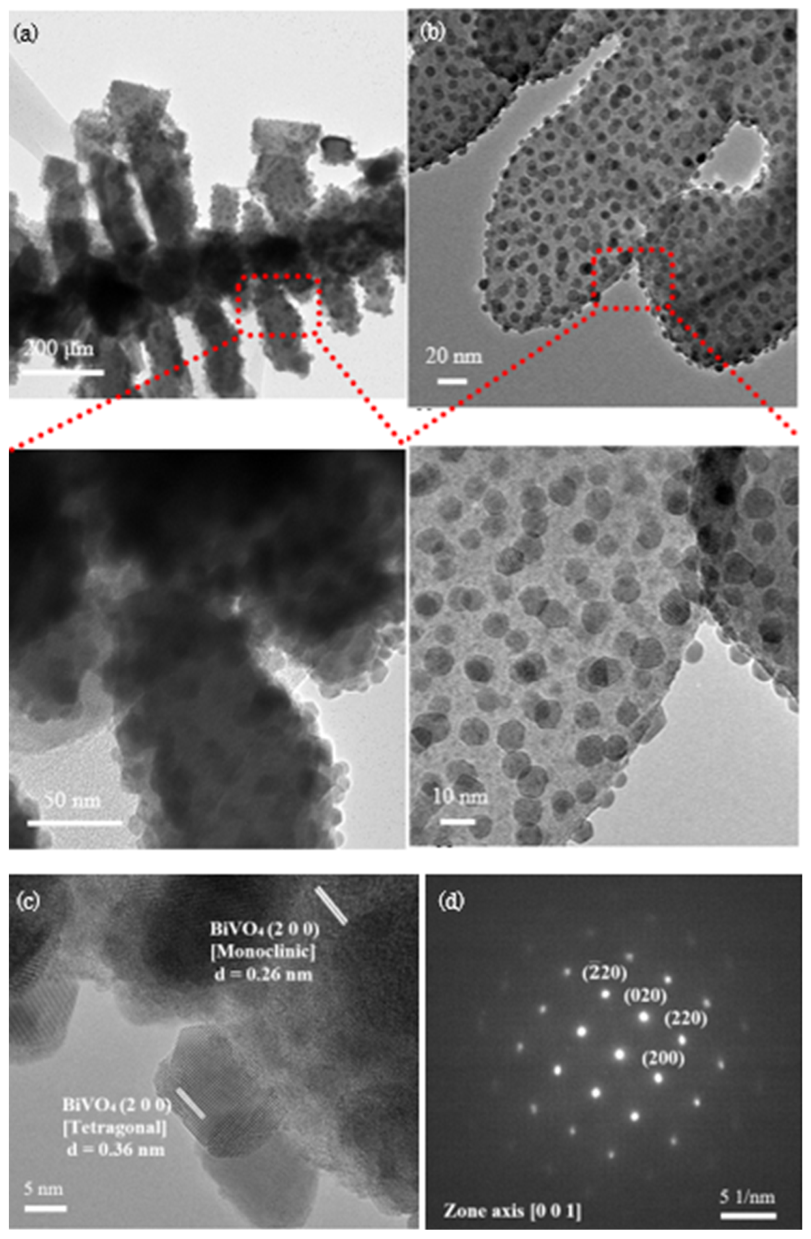 Catalysts 14 00236 g003