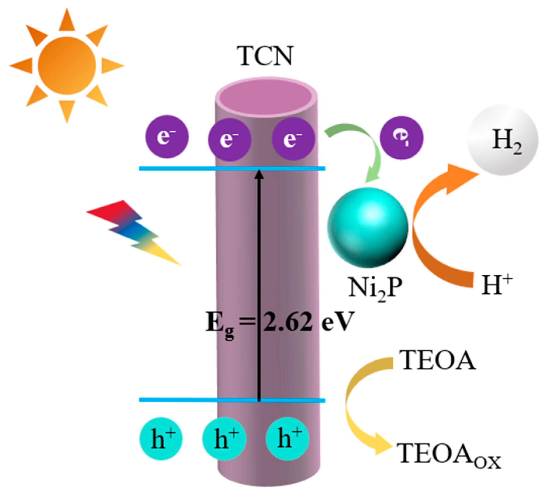 Catalysts 14 00243 g011