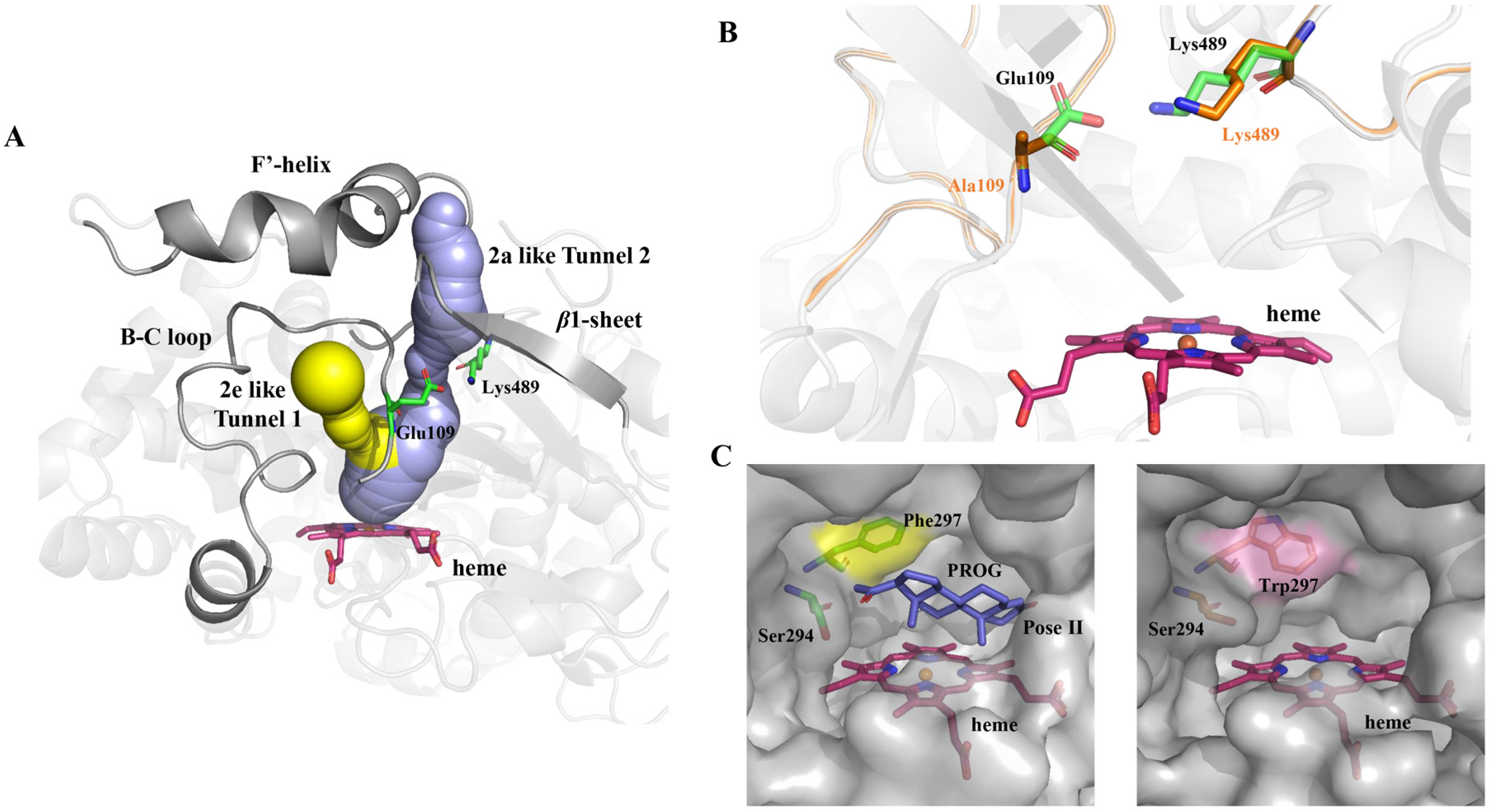 Catalysts 14 00247 g004