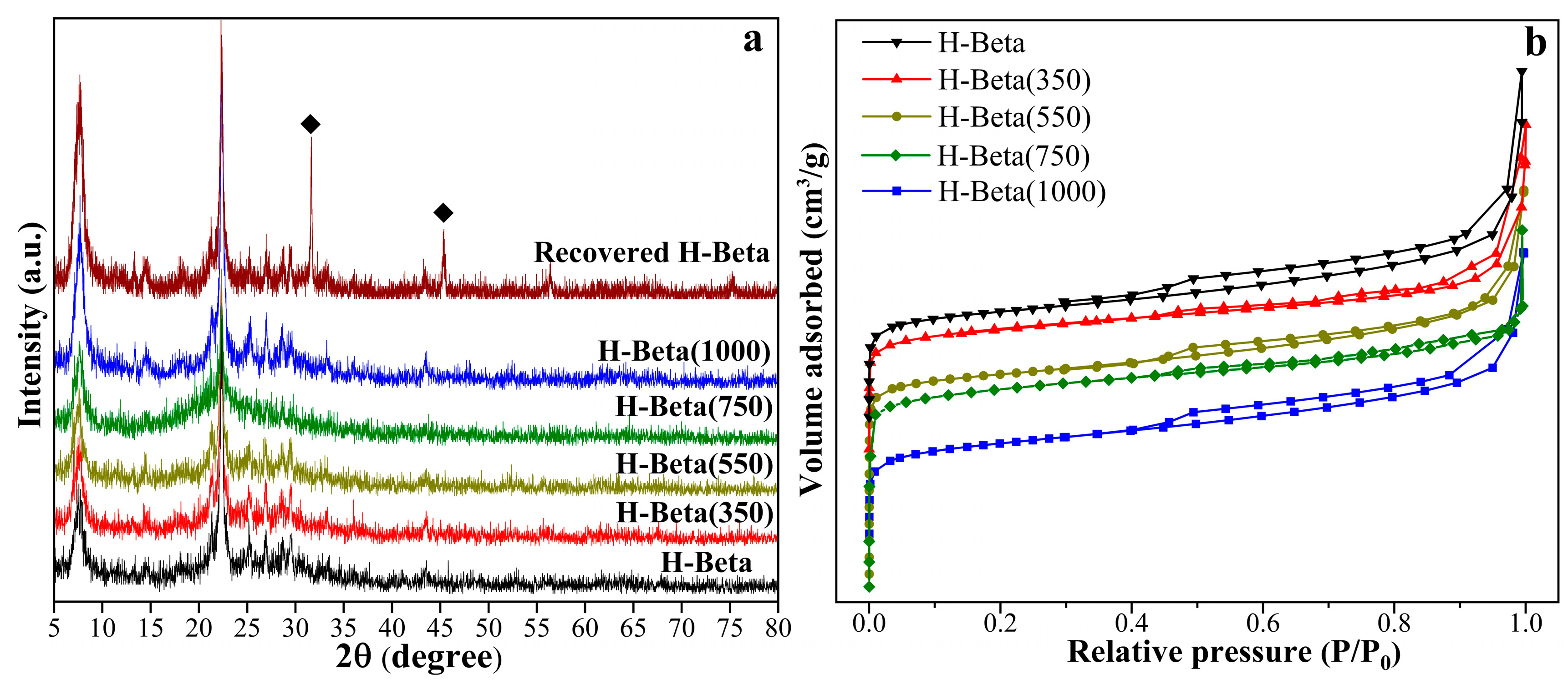 Catalysts 14 00248 g001