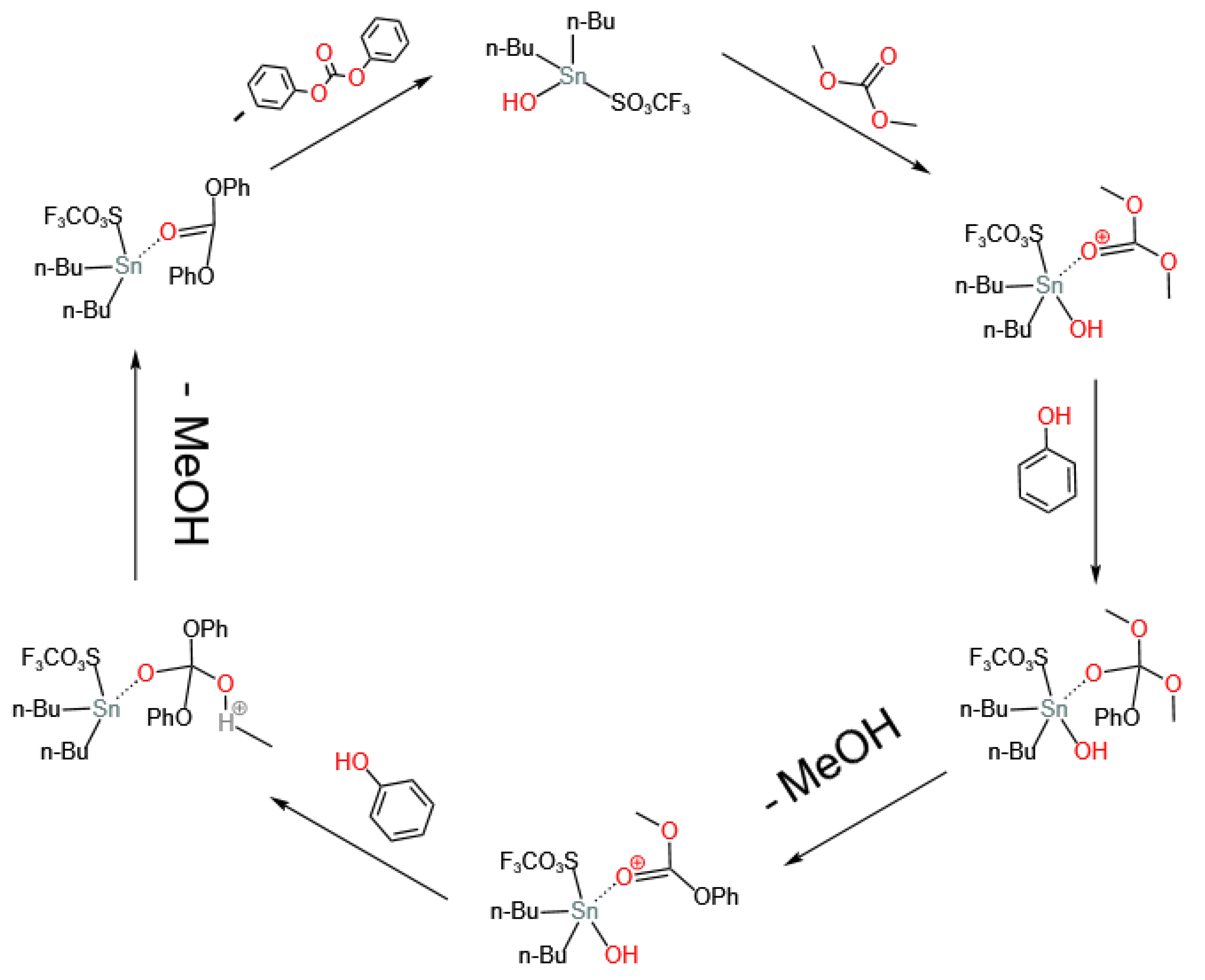Catalysts 14 00250 g008