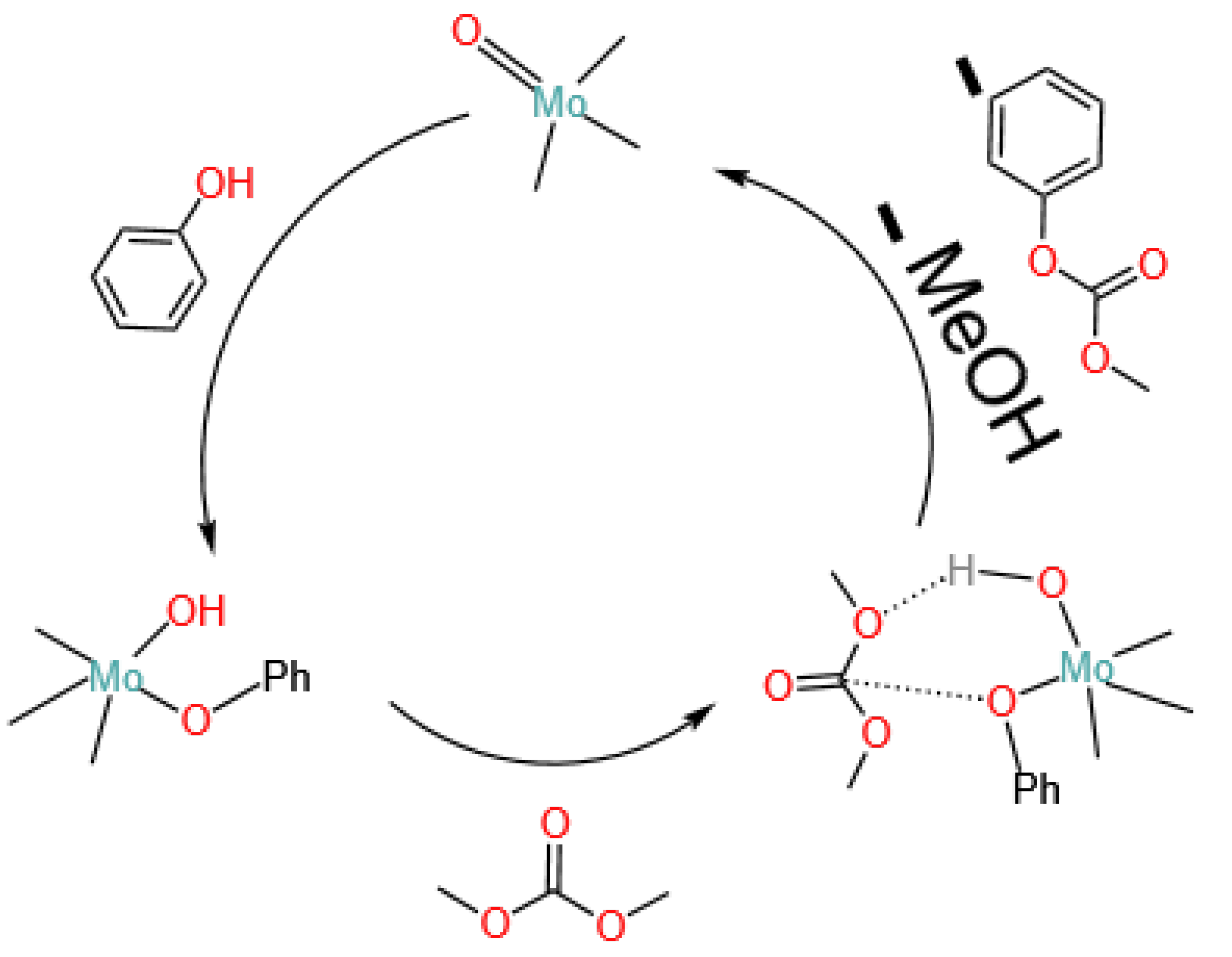 Catalysts 14 00250 g010