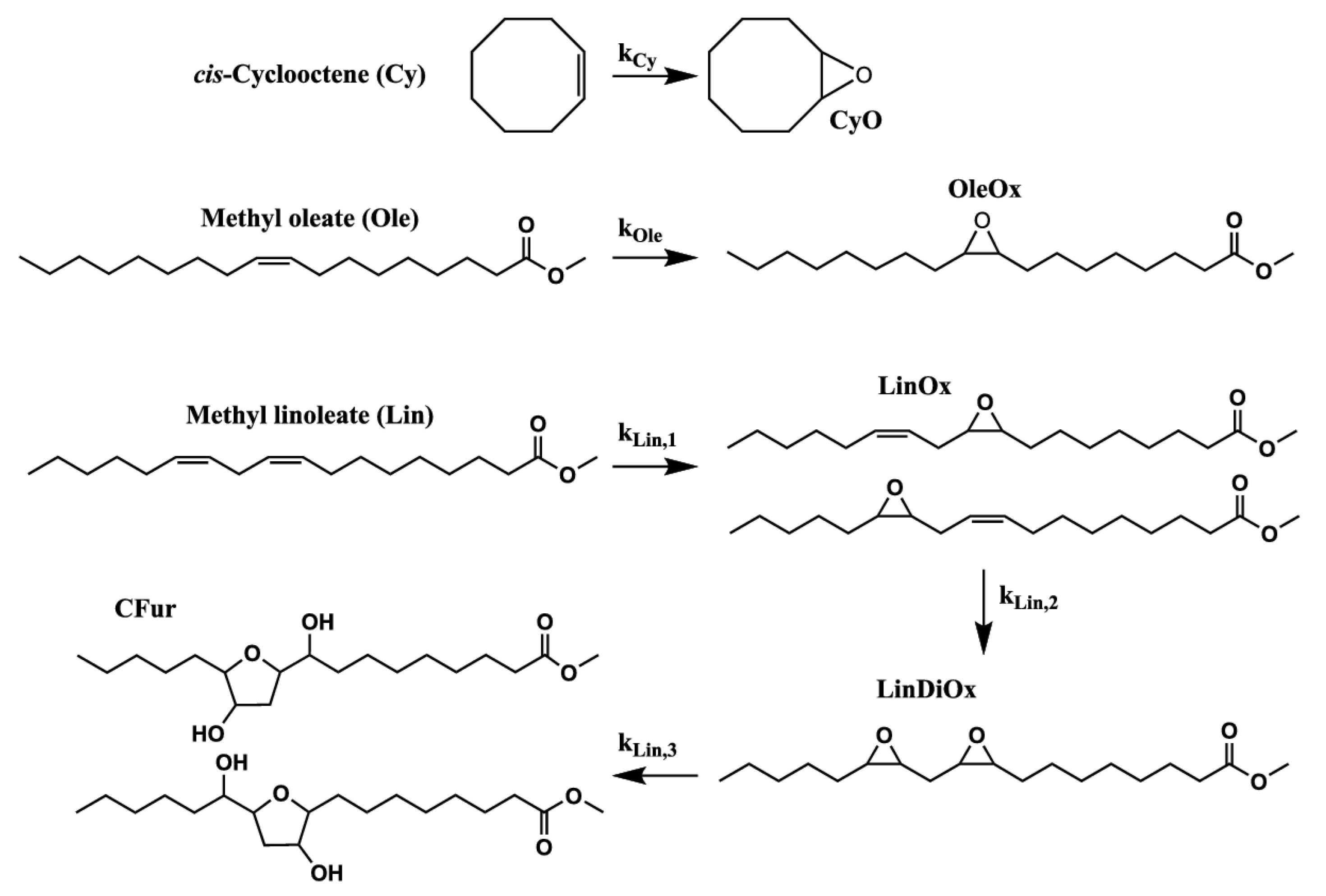 Catalysts 14 00251 sch001
