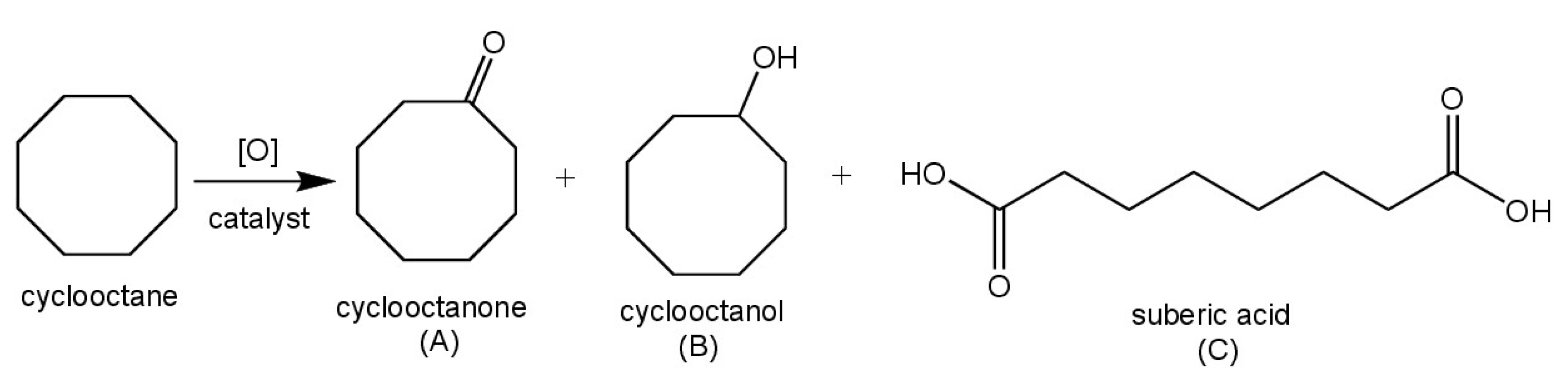 Catalysts 14 00251 sch002