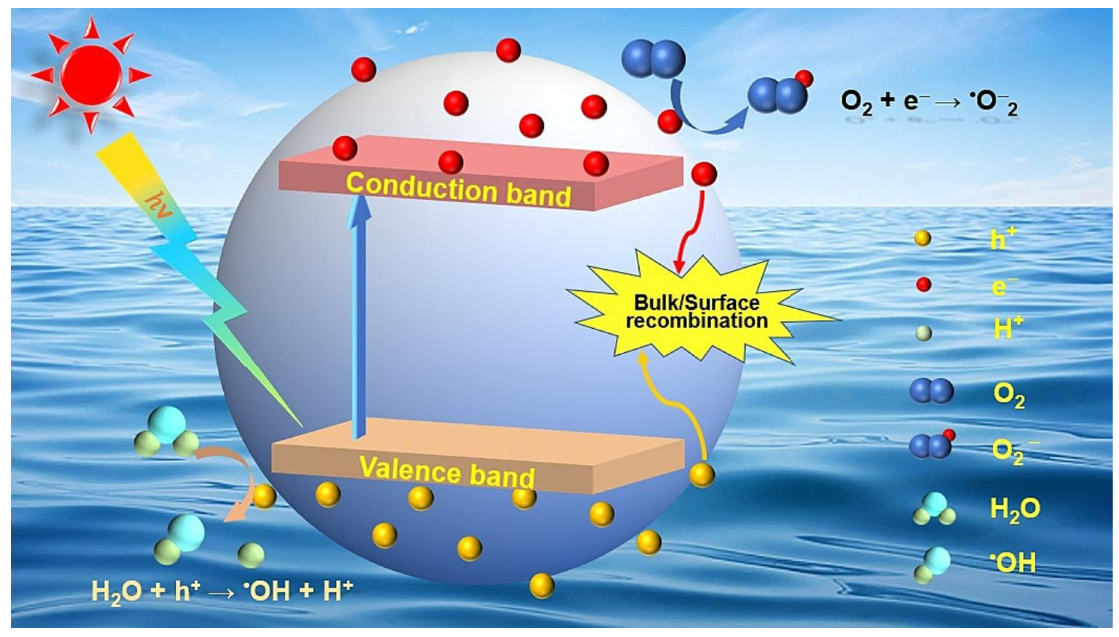 Catalysts 14 00252 g004