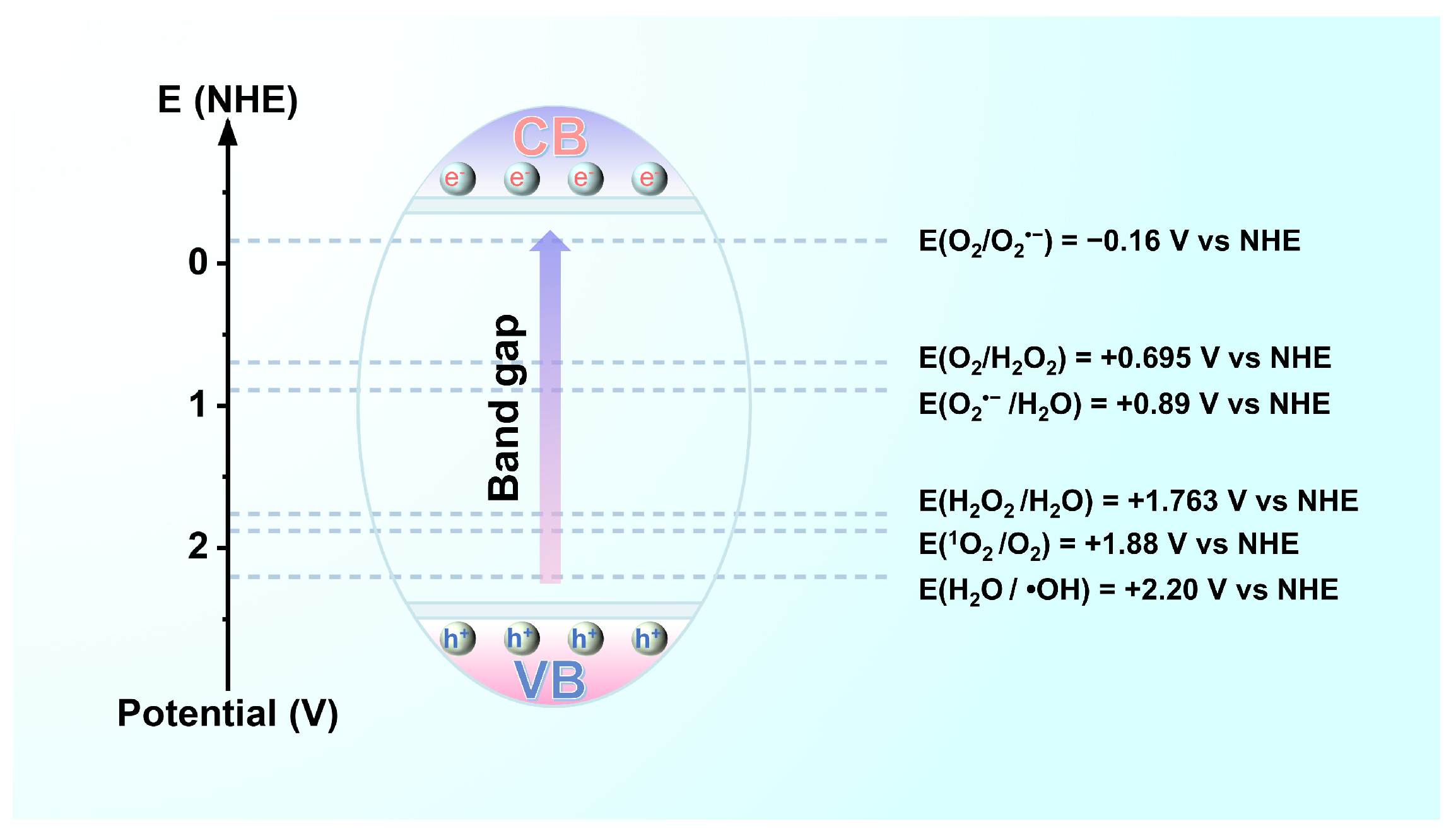 Catalysts 14 00252 g005