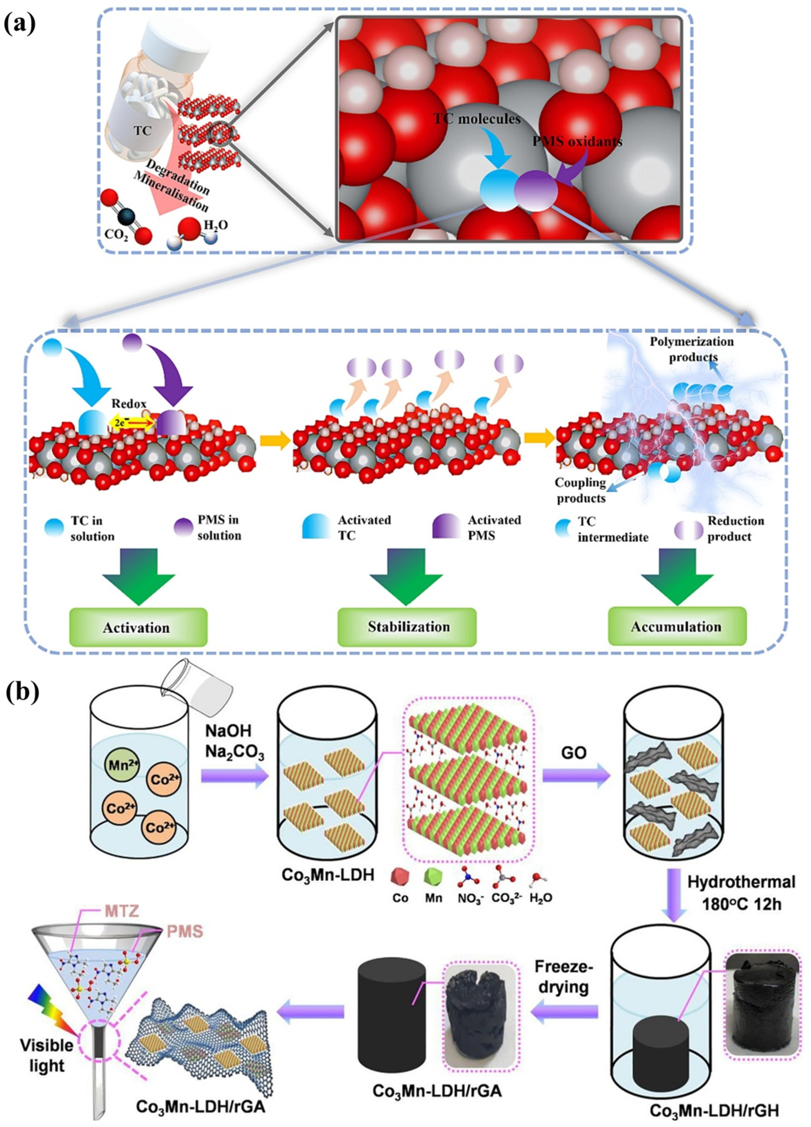 Catalysts 14 00252 g006