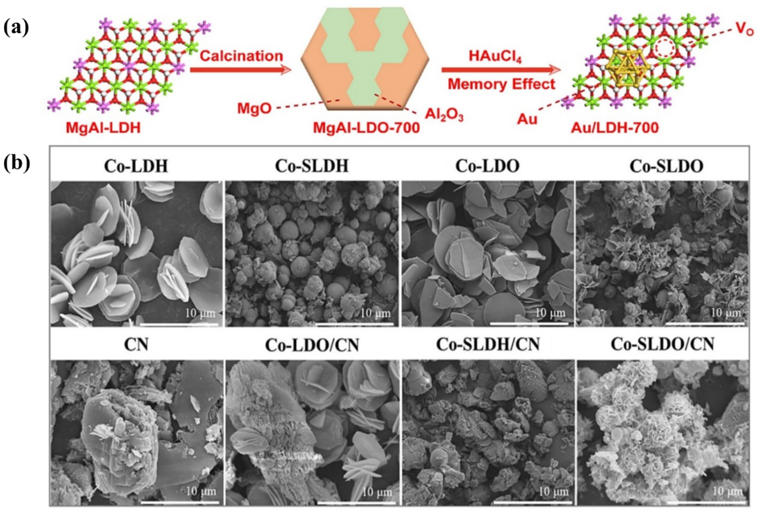 Catalysts 14 00252 g009