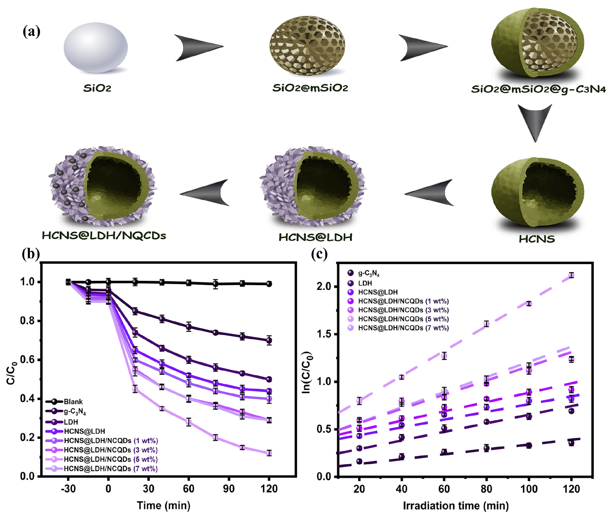 Catalysts 14 00252 g010