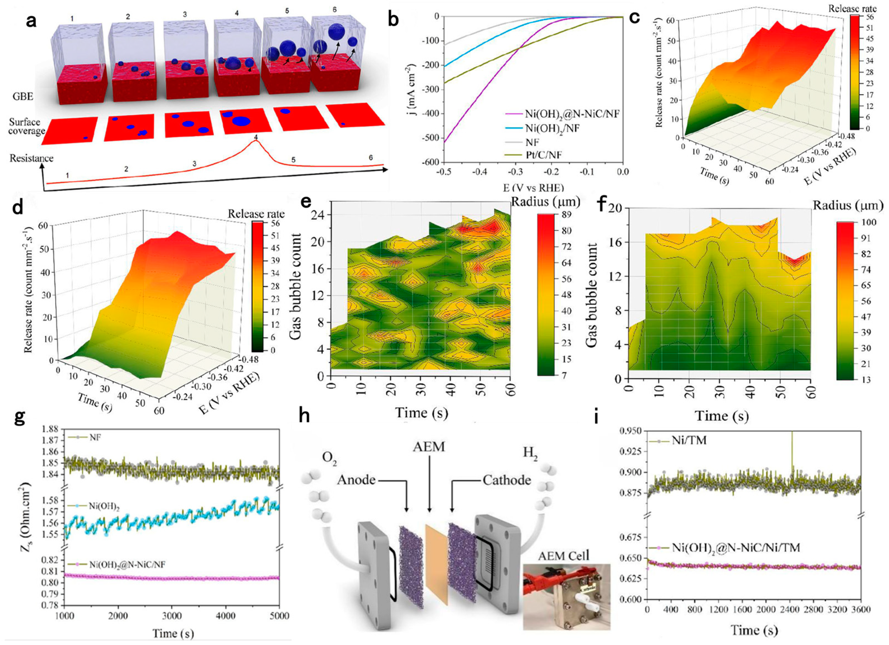 Catalysts 14 00254 g001
