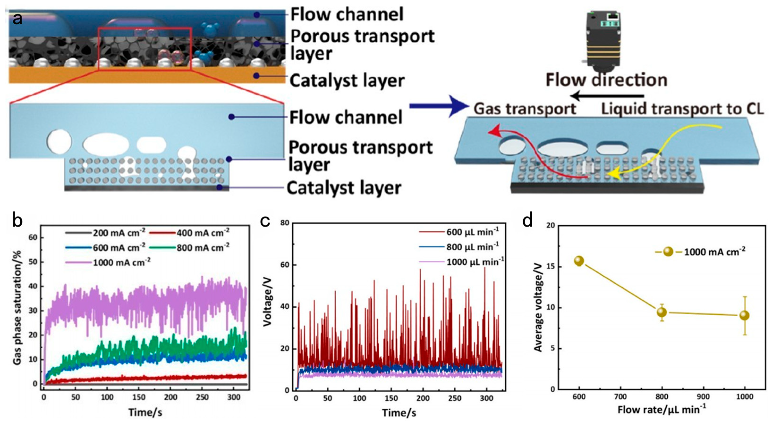 Catalysts 14 00254 g003