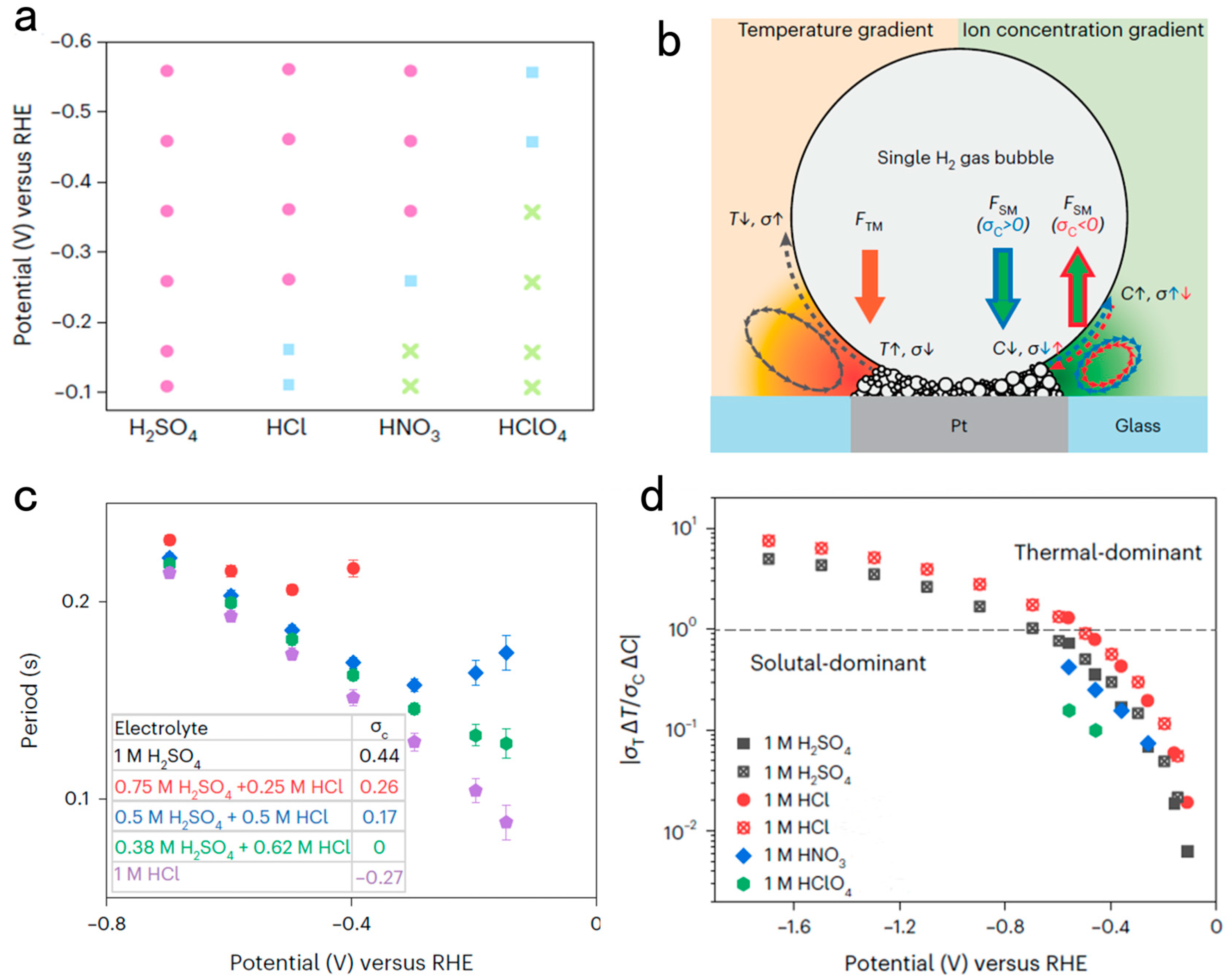 Catalysts 14 00254 g005