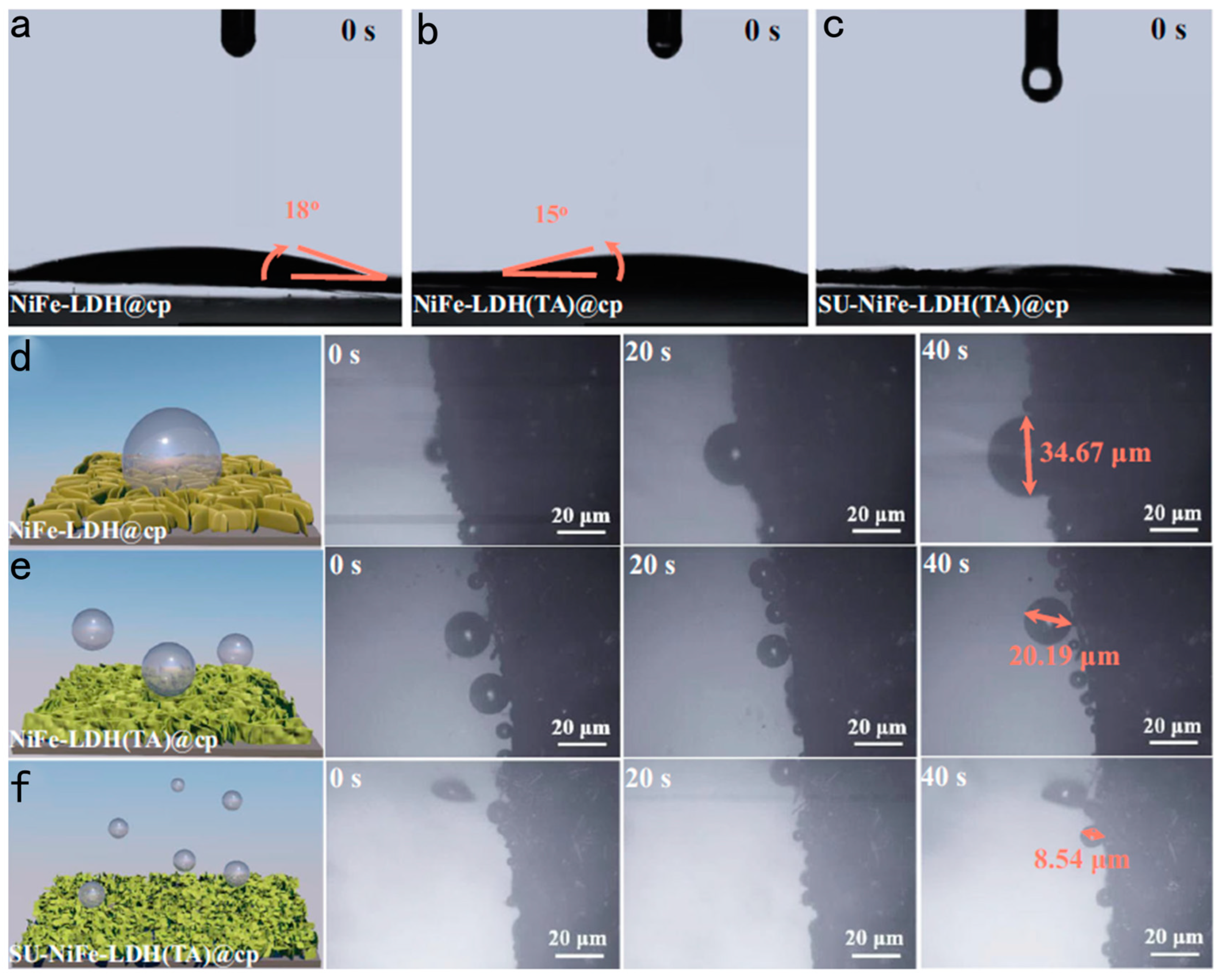 Catalysts 14 00254 g010
