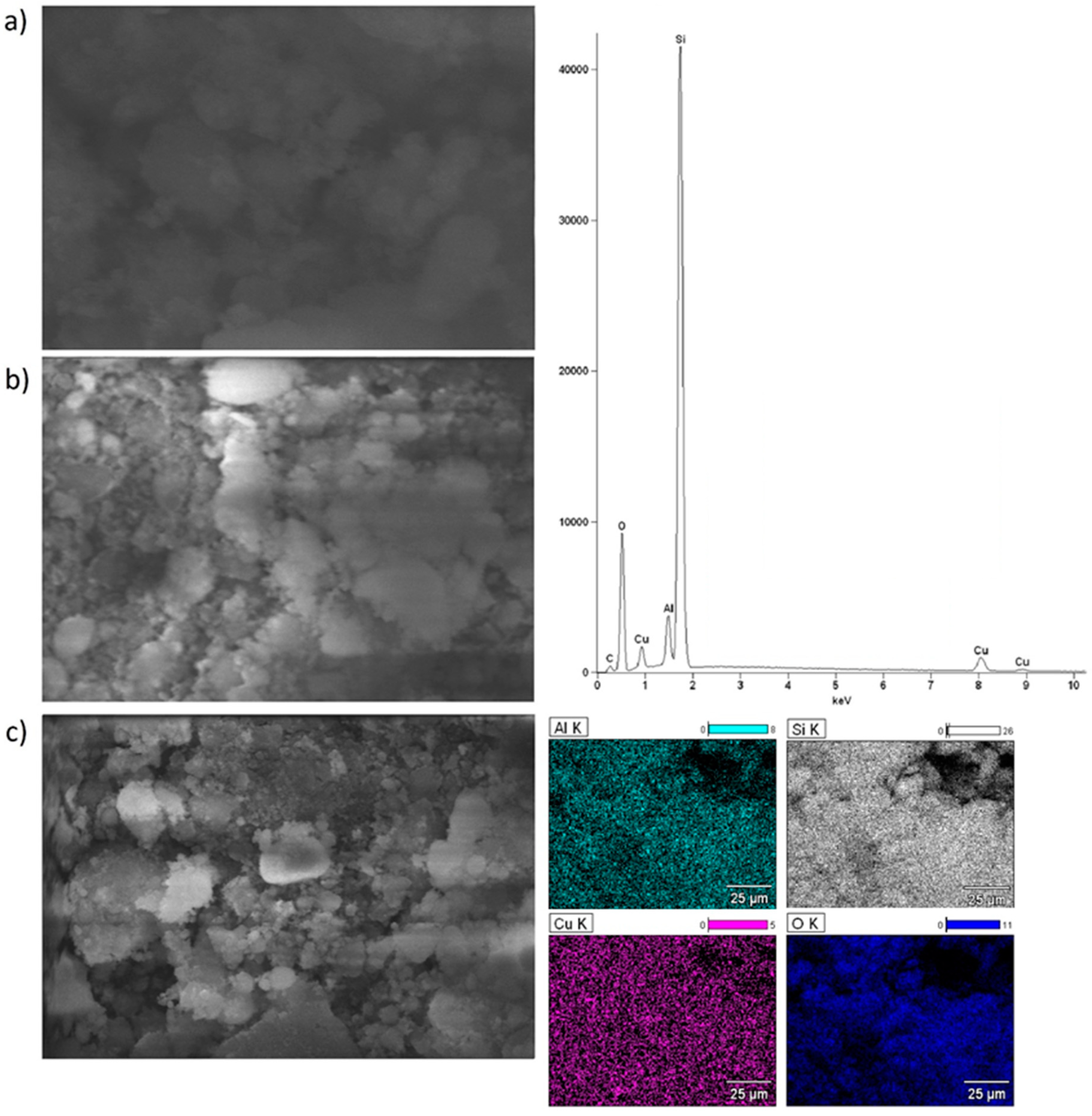 Catalysts 14 00260 g005