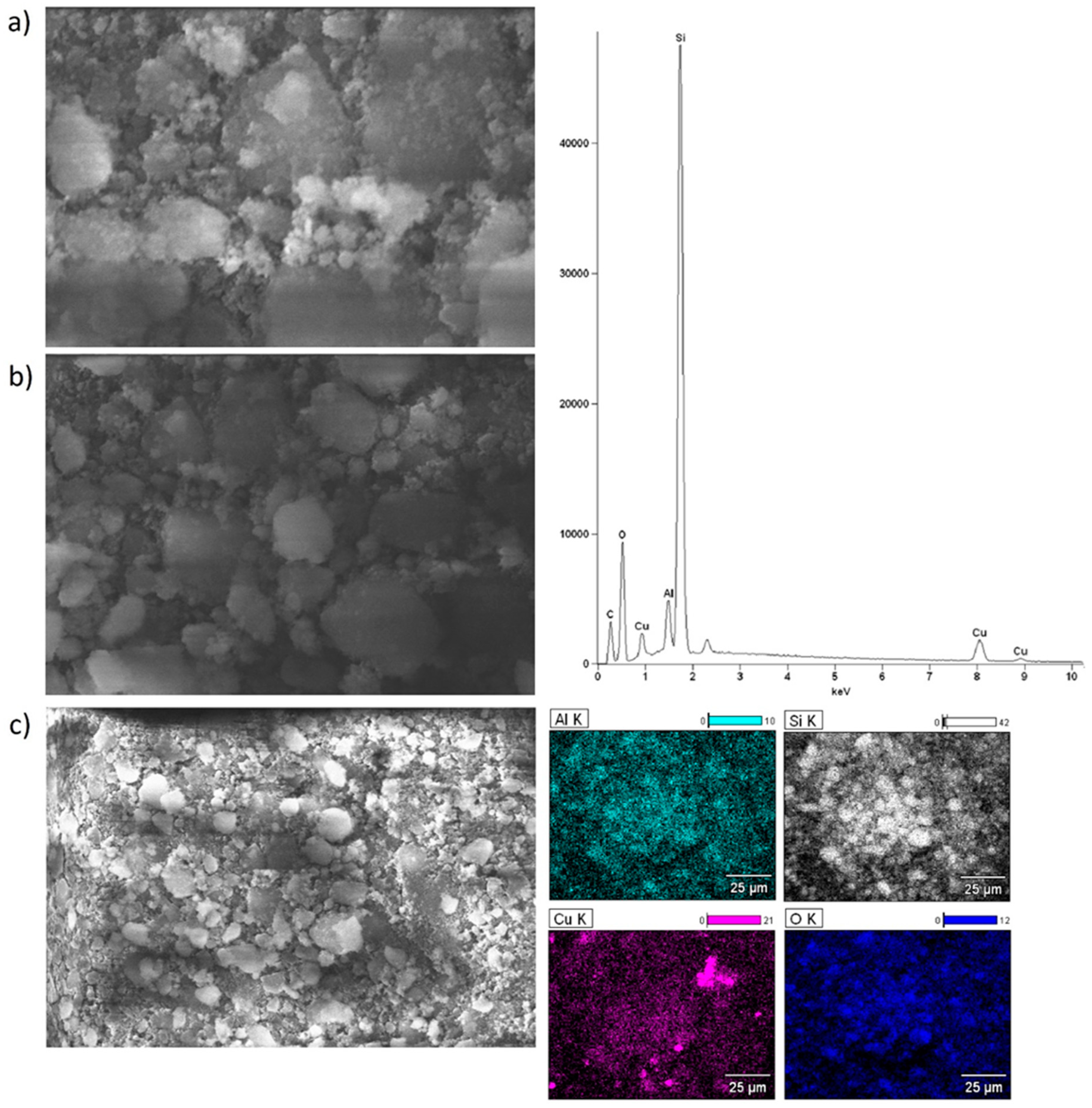 Catalysts 14 00260 g006