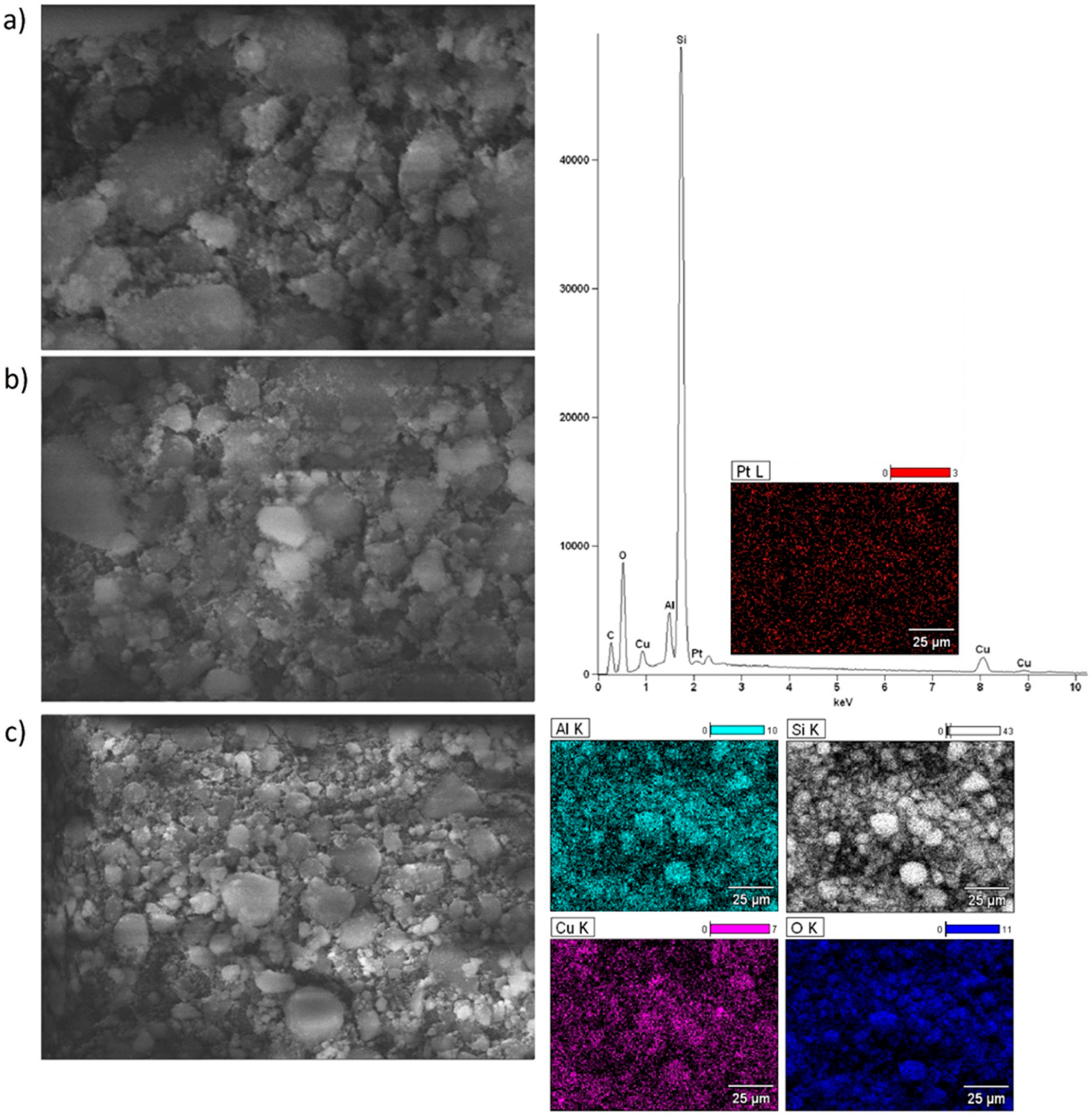 Catalysts 14 00260 g007