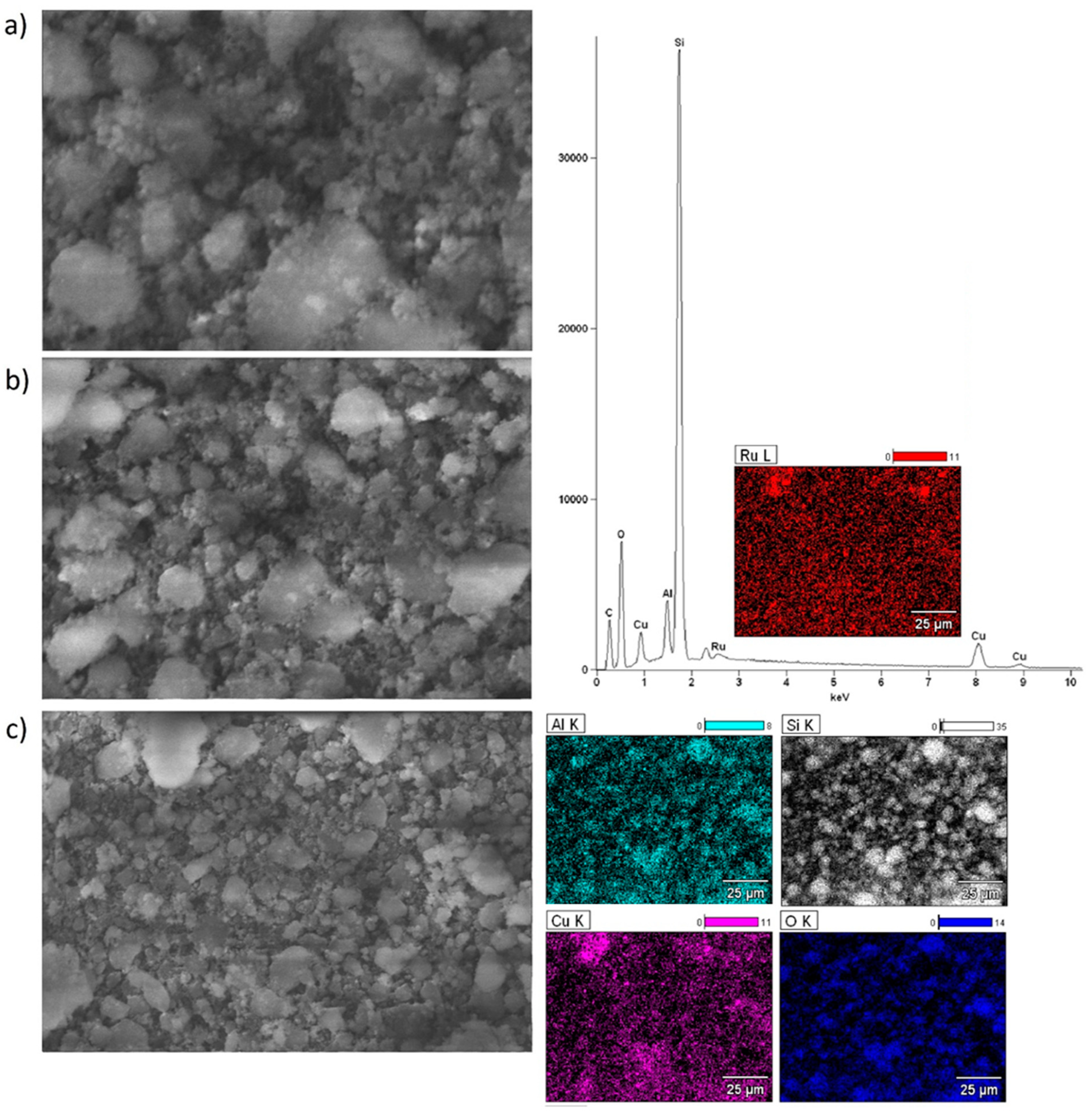 Catalysts 14 00260 g008