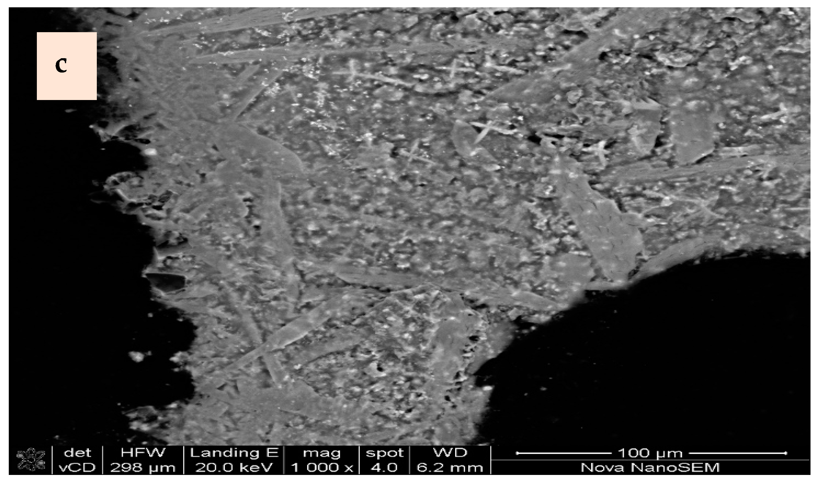 Catalysts 14 00261 g004b