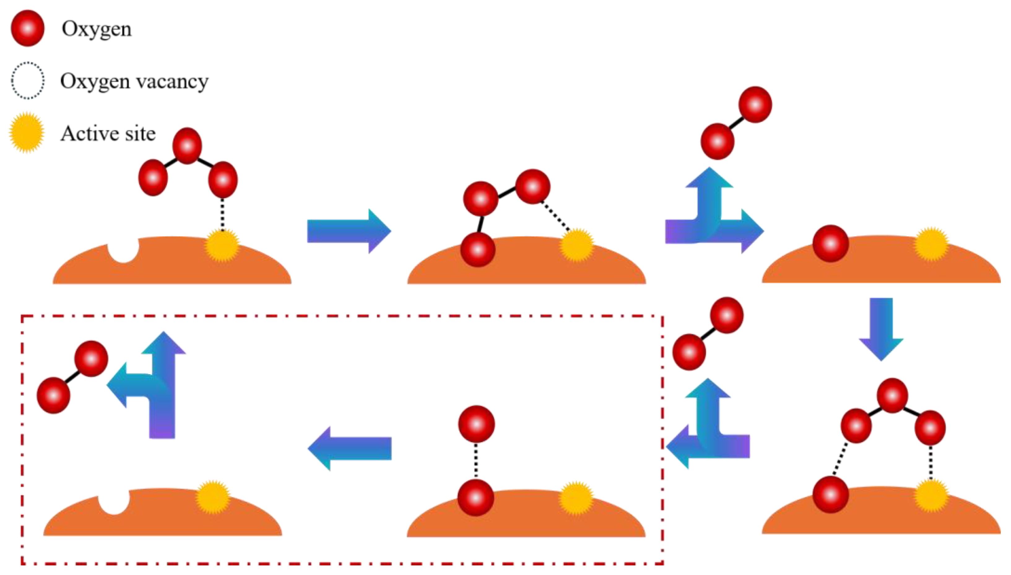 Catalysts 14 00264 g001