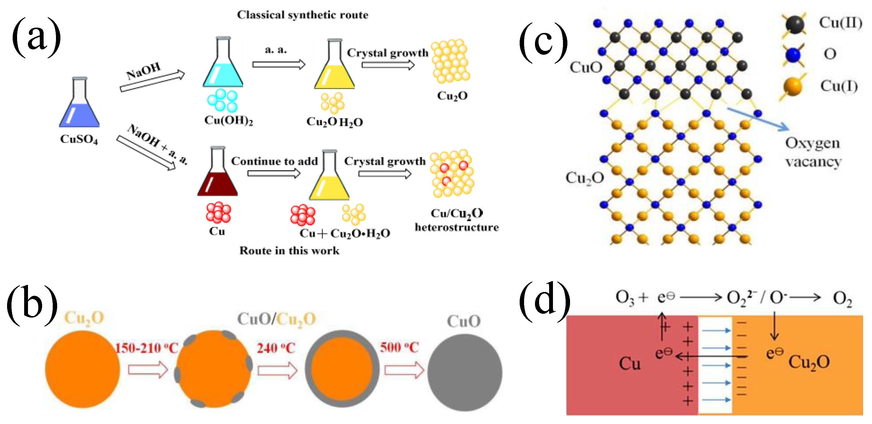 Catalysts 14 00264 g004