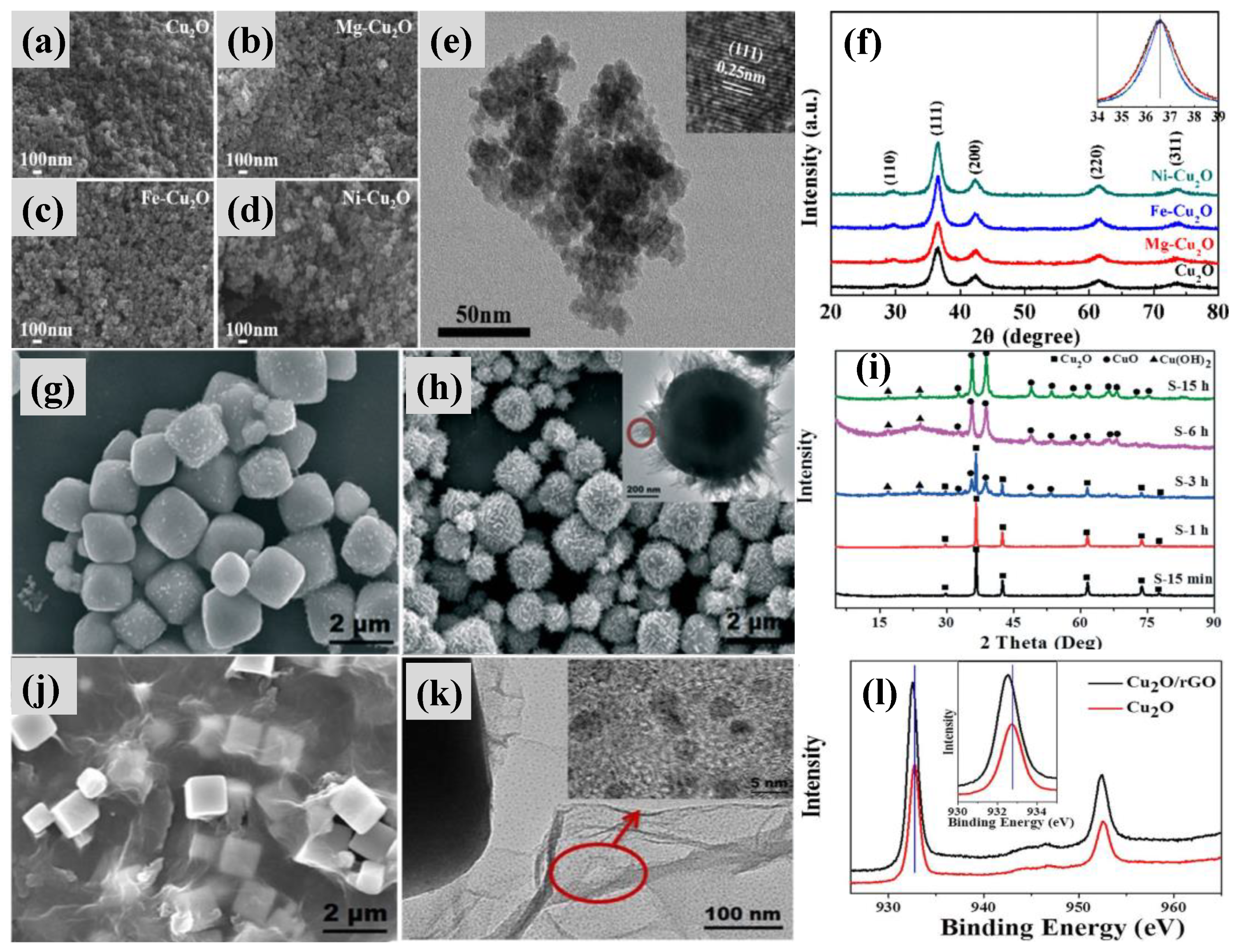 Catalysts 14 00264 g005