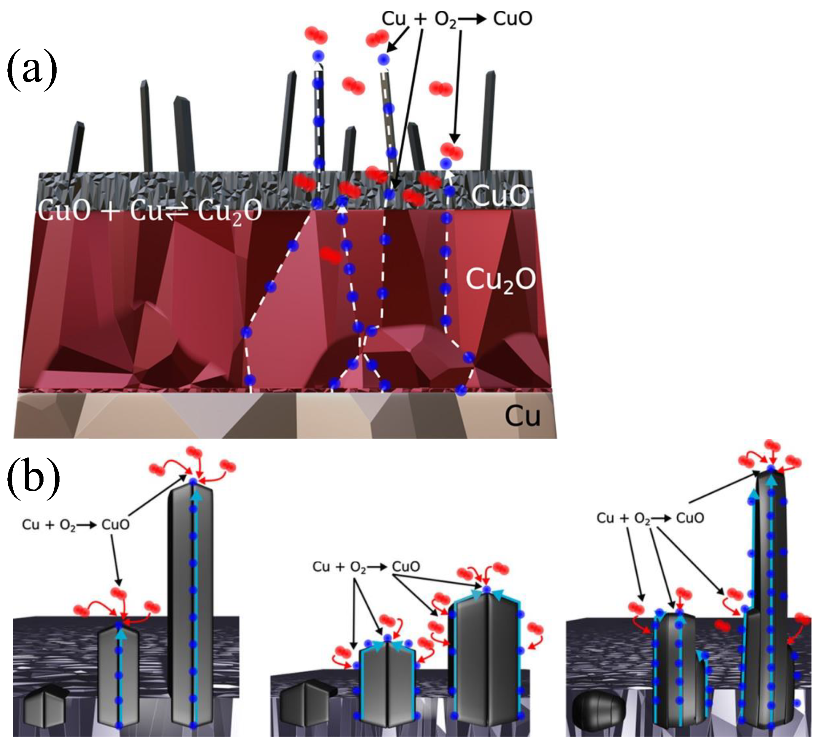Catalysts 14 00264 g007