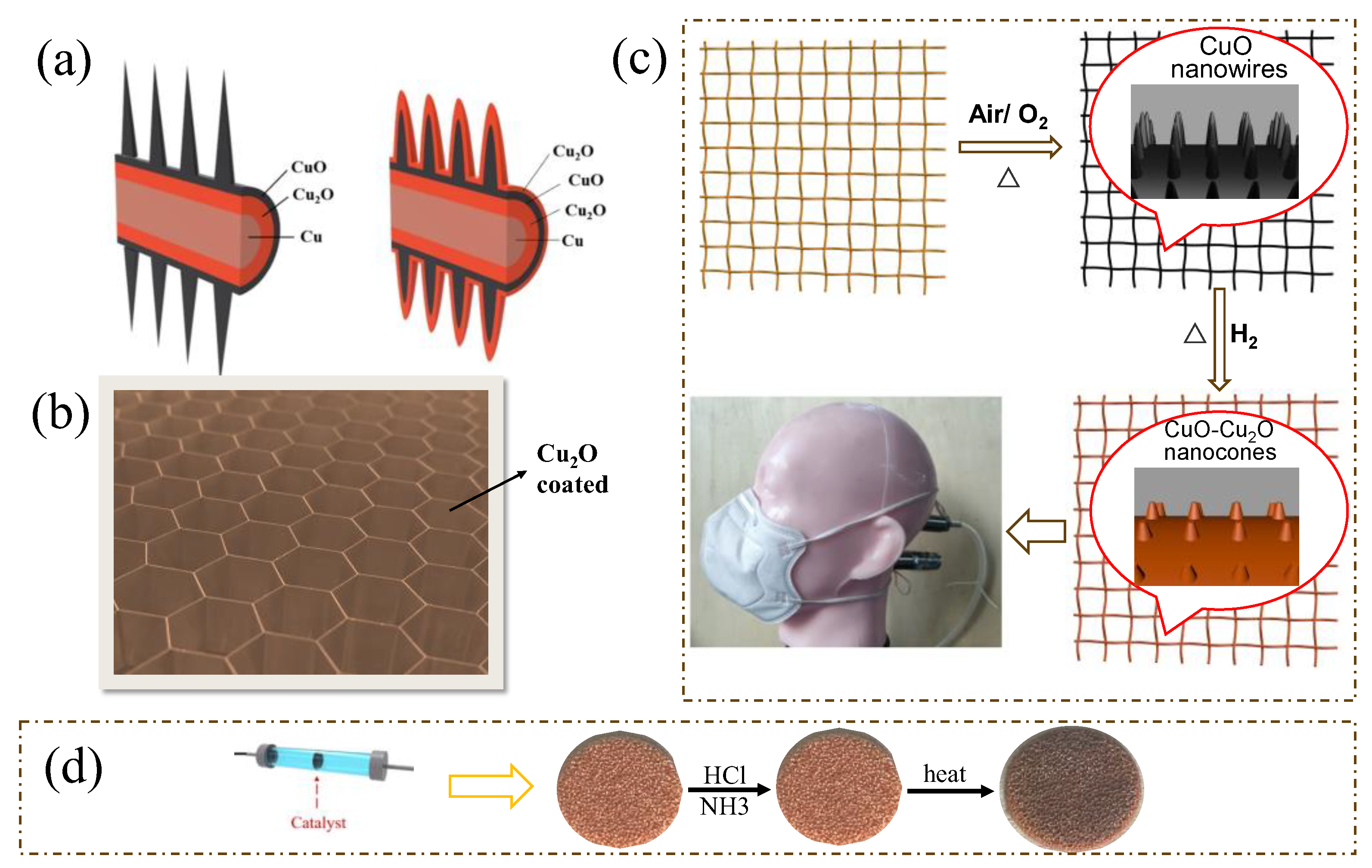 Catalysts 14 00264 g008