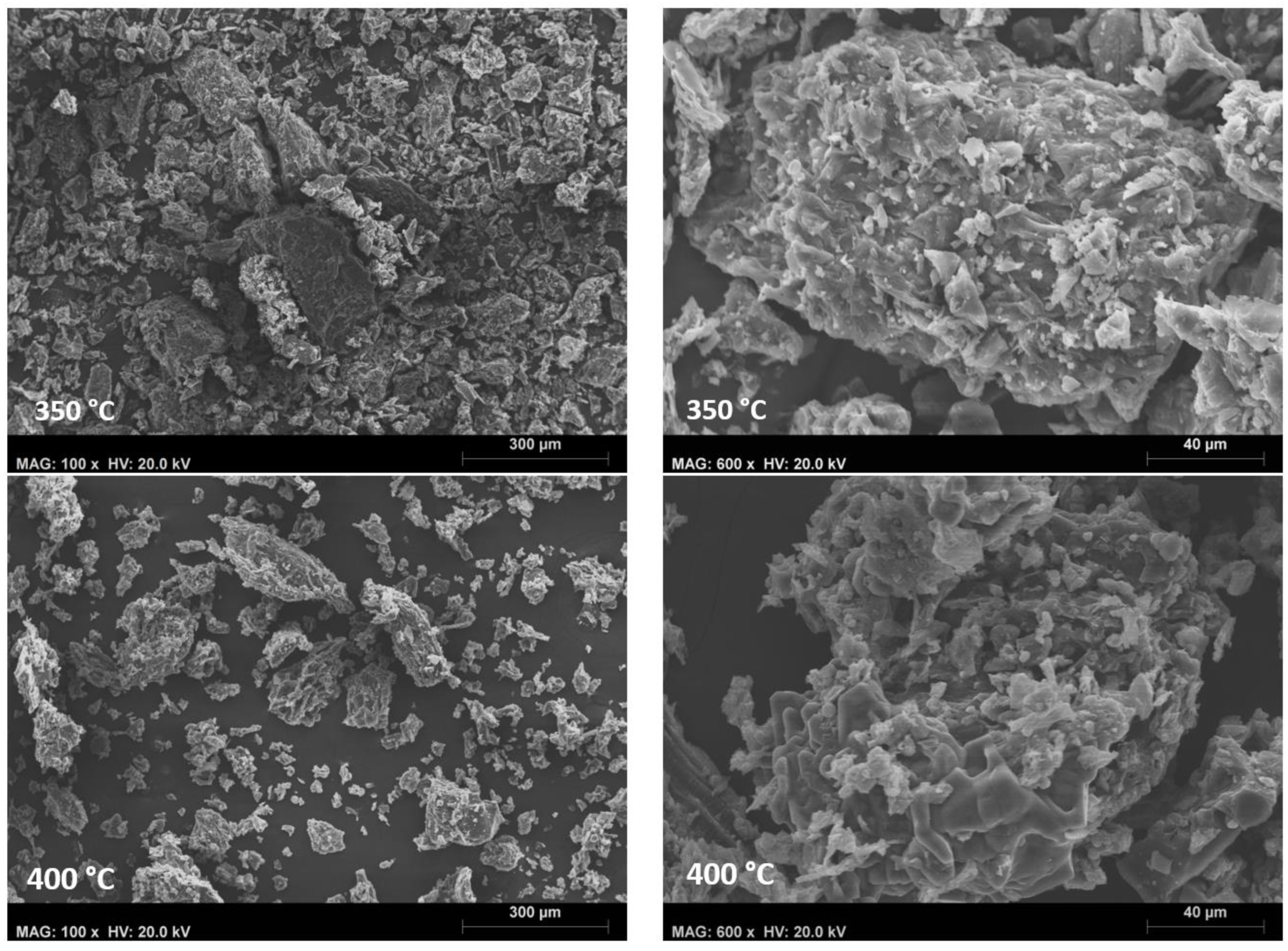 Catalysts 14 00266 g003