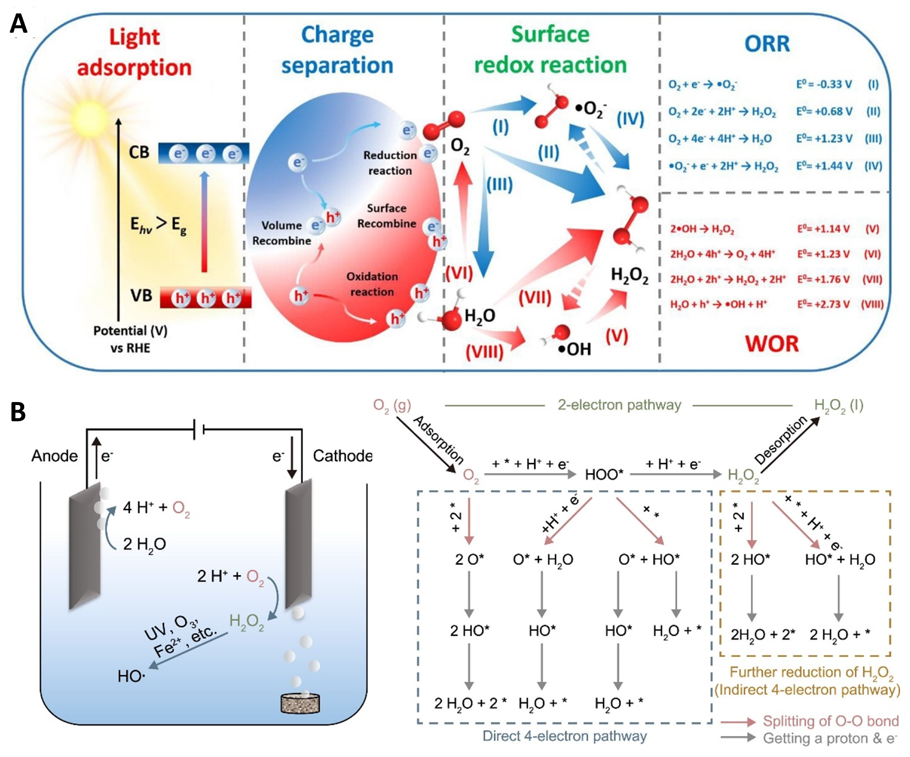 Catalysts 14 00267 g002