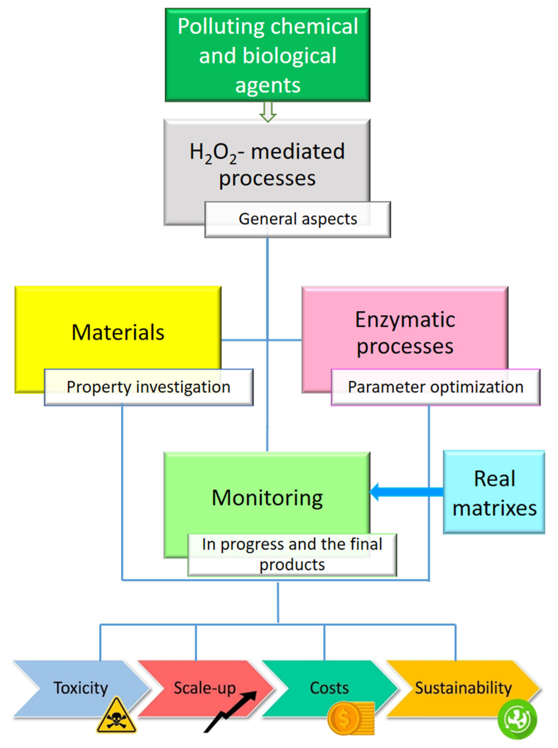 Catalysts 14 00267 g003