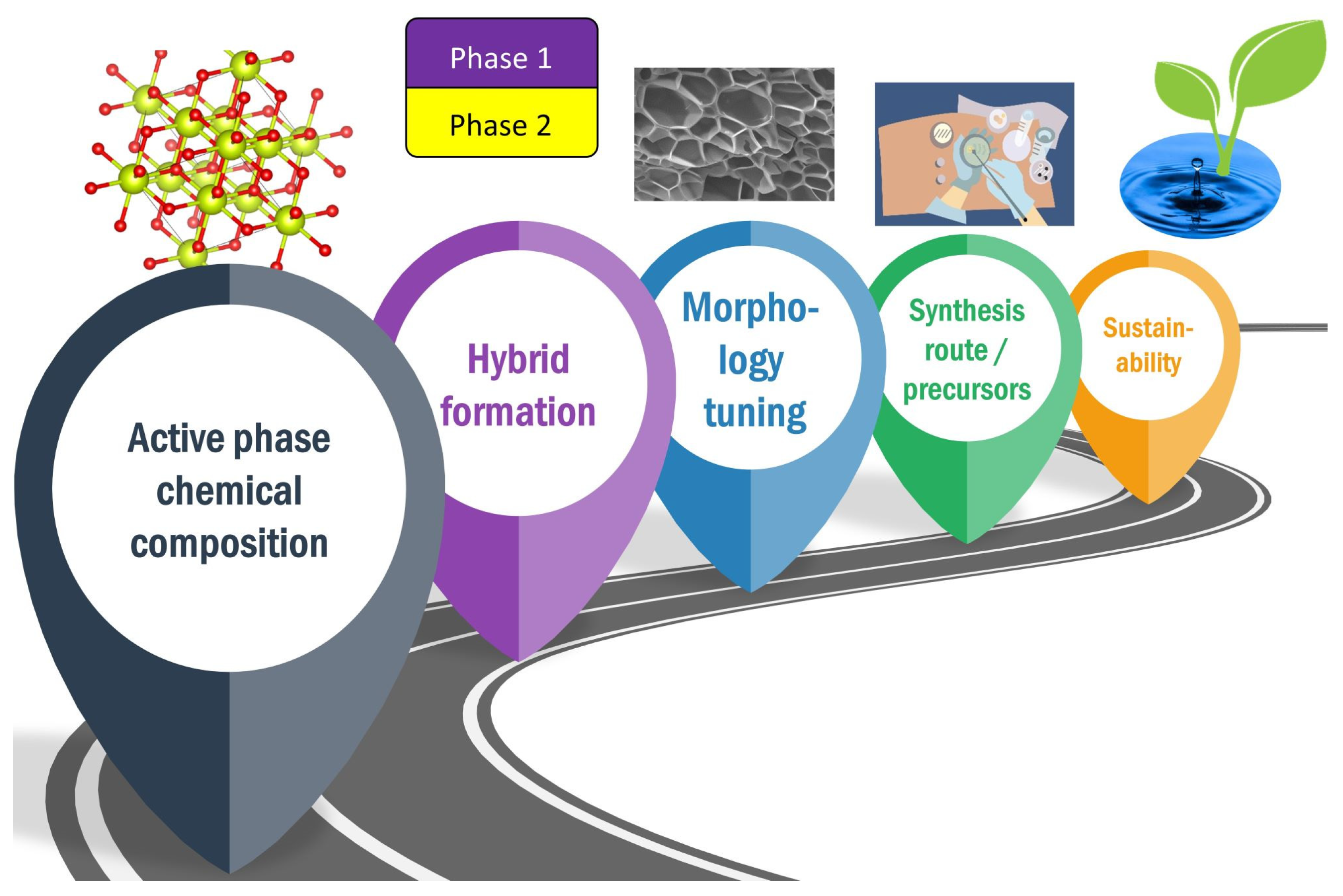 Catalysts 14 00267 g005