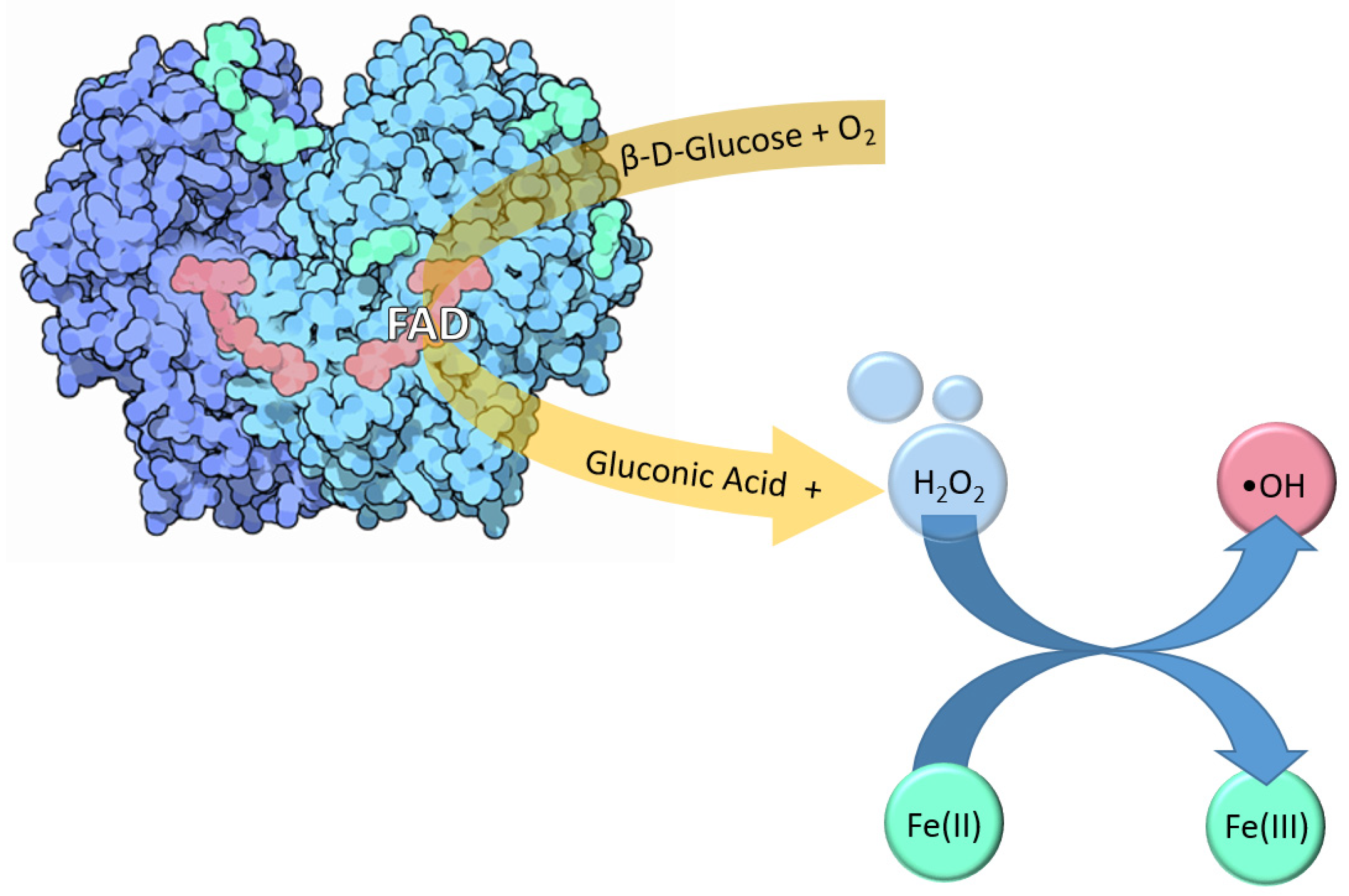 Catalysts 14 00267 g006