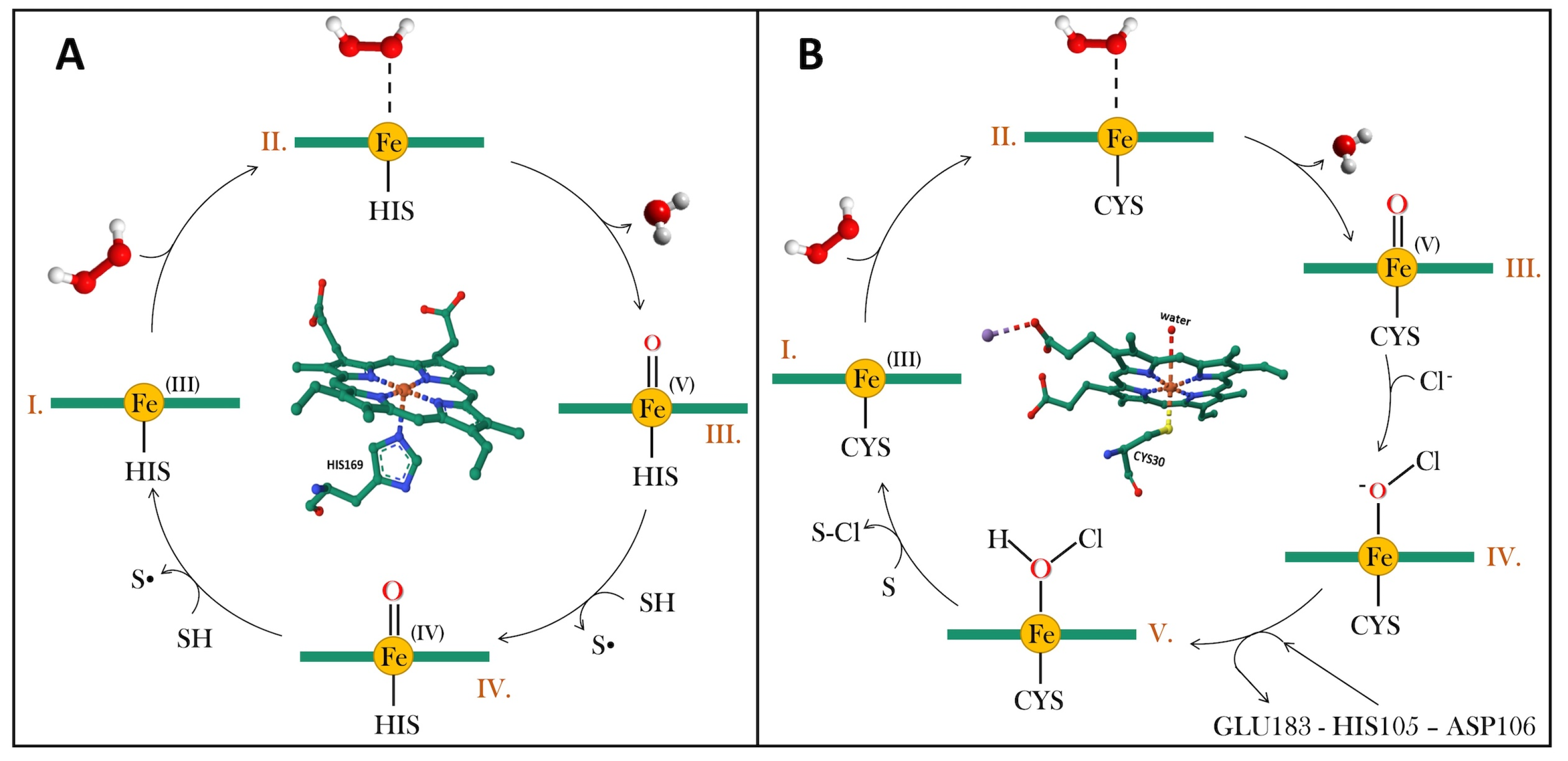 Catalysts 14 00267 g008