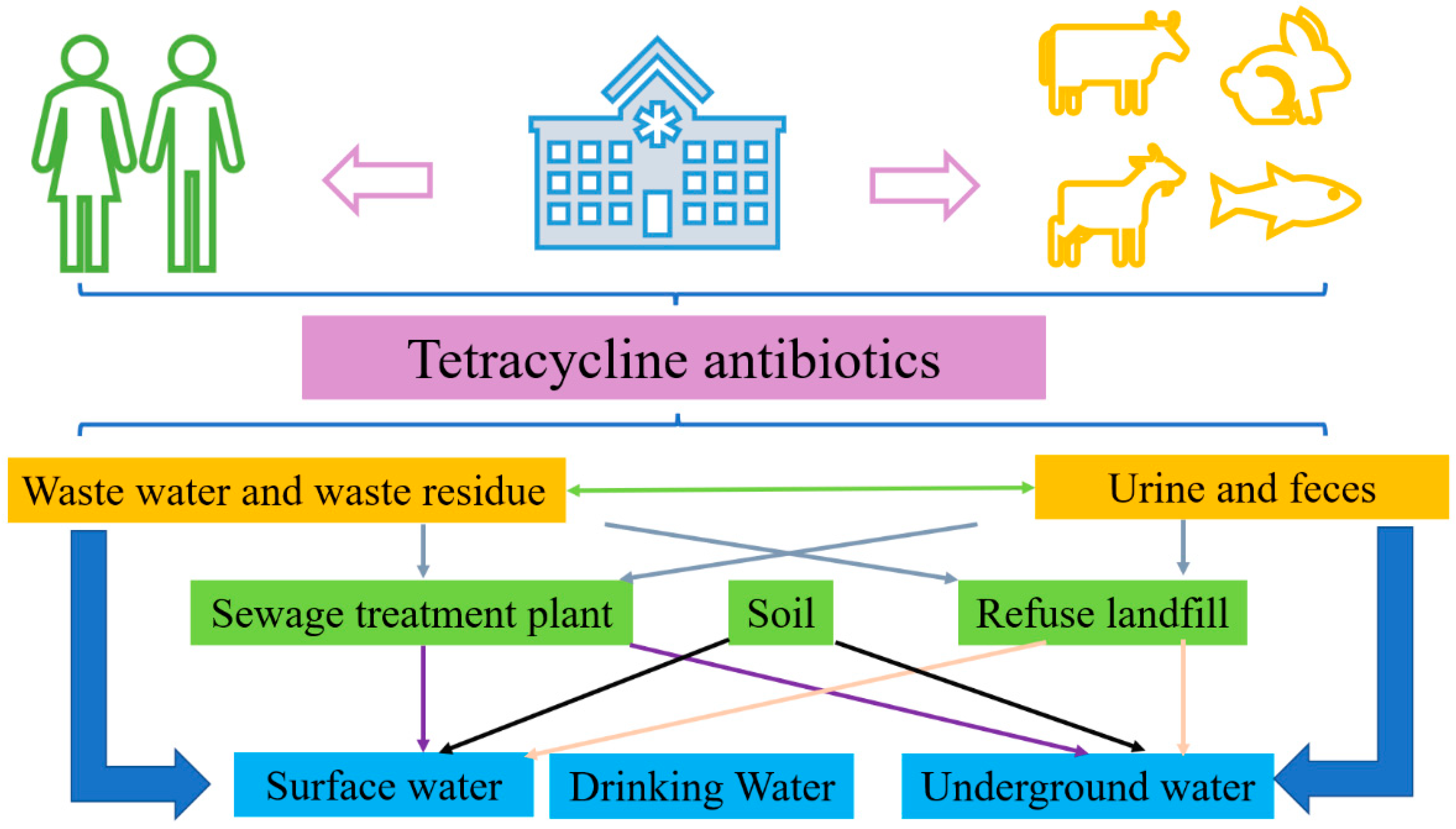 Catalysts 14 00269 g001