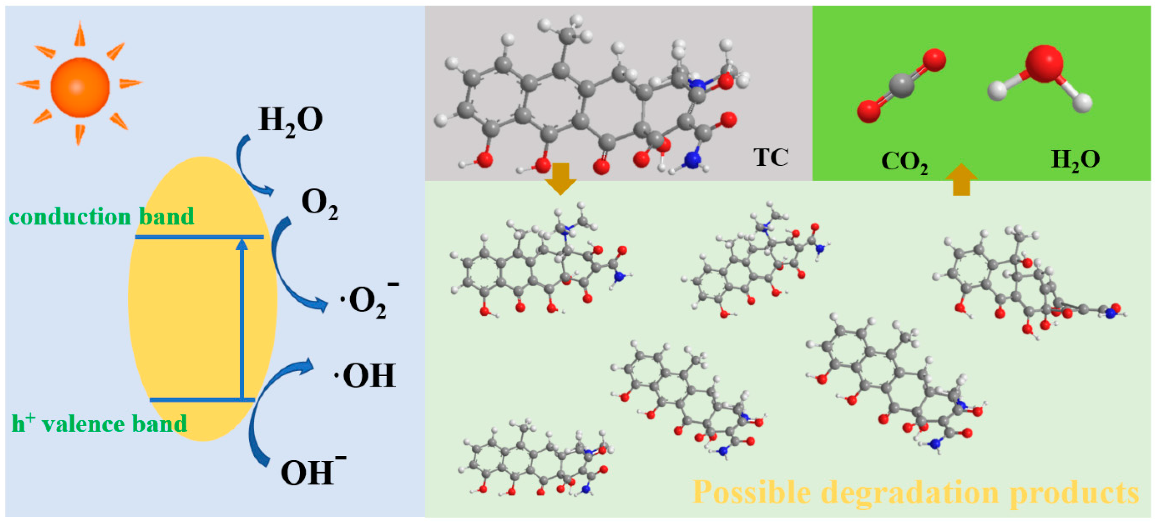 Catalysts 14 00269 g005