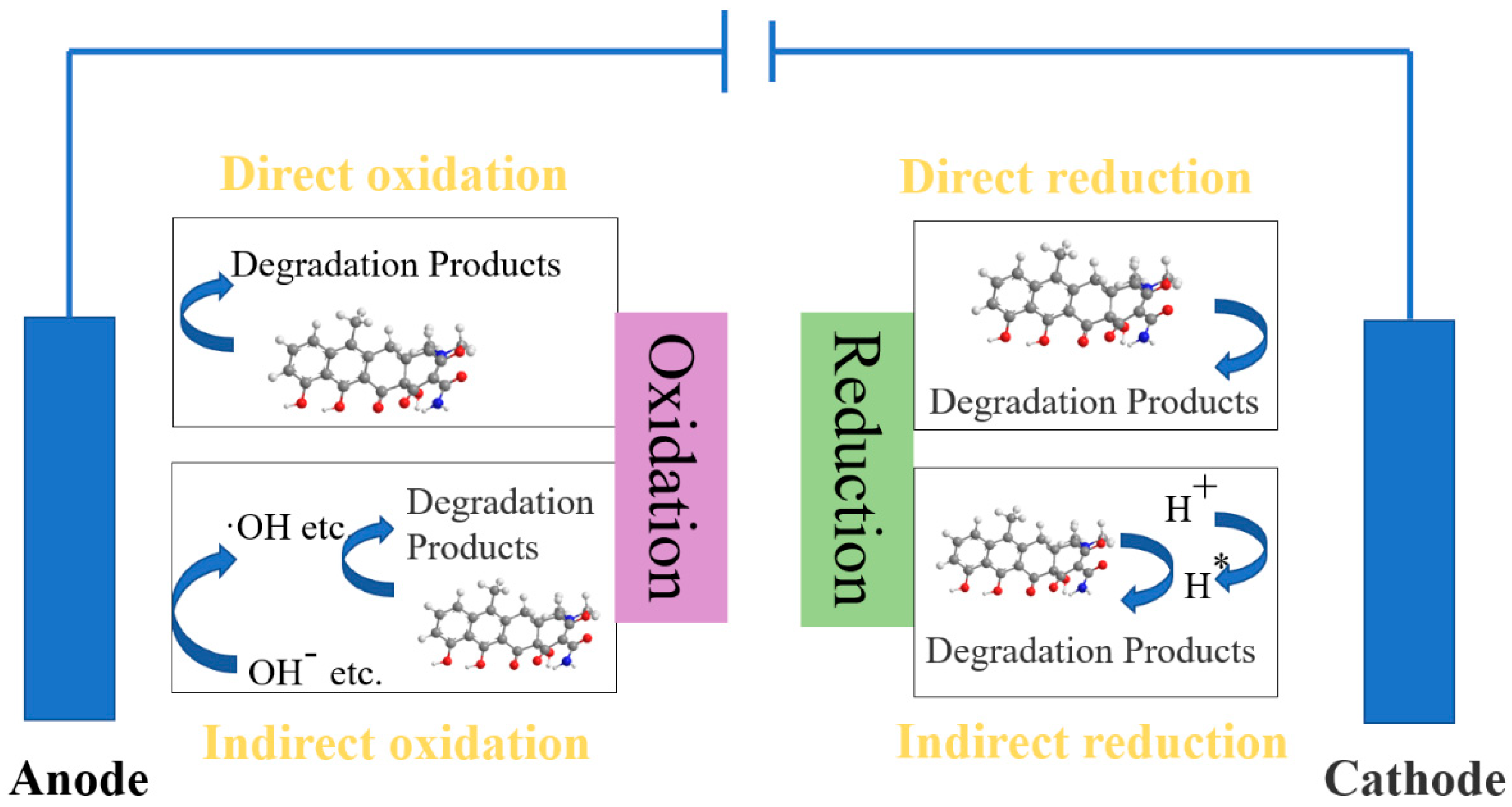 Catalysts 14 00269 g006